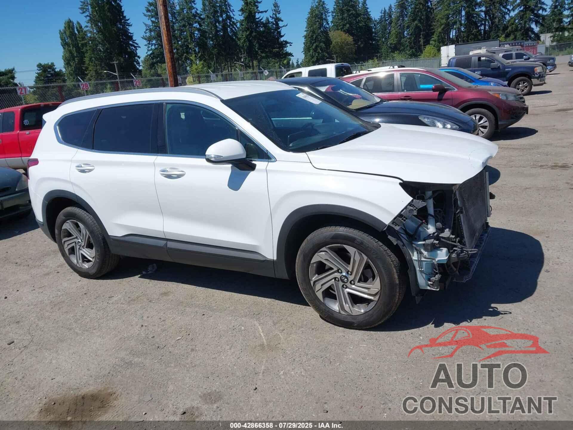 HYUNDAI SANTA FE 2023 - 5NMS24AJ3PH524500