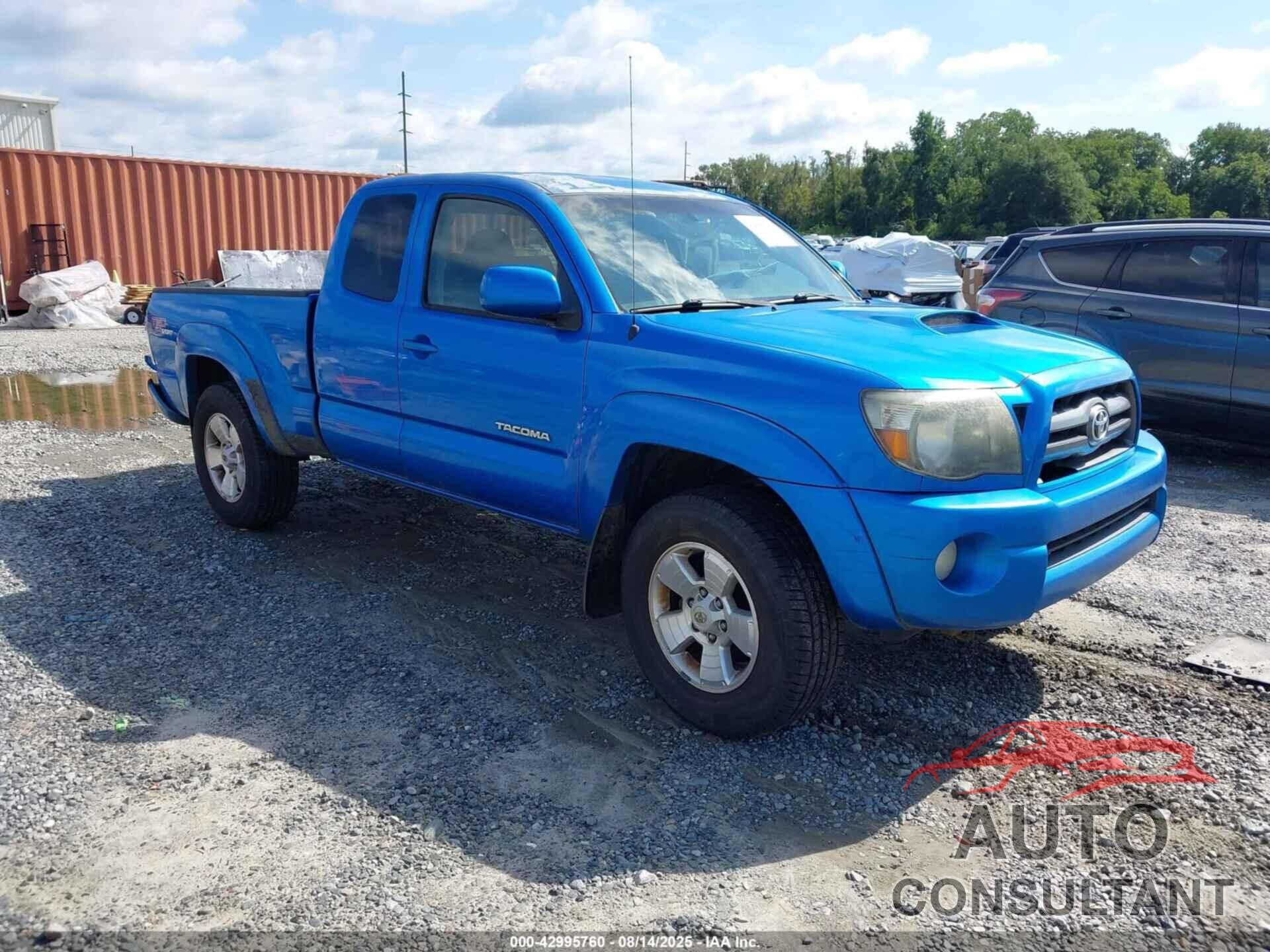 TOYOTA TACOMA 2009 - 5TETU62N59Z610230