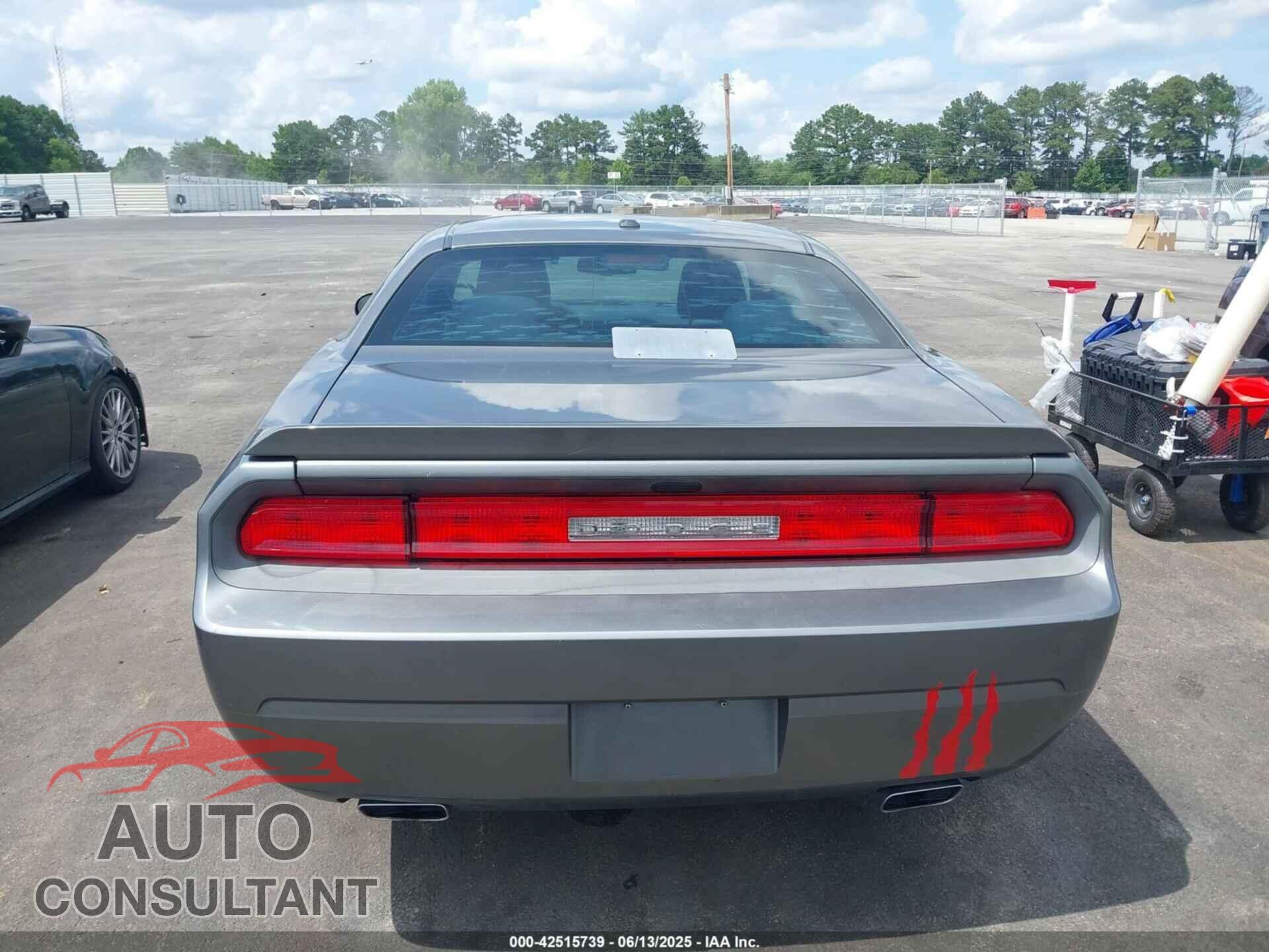 DODGE CHALLENGER 2012 - 2C3CDYBT8CH201754