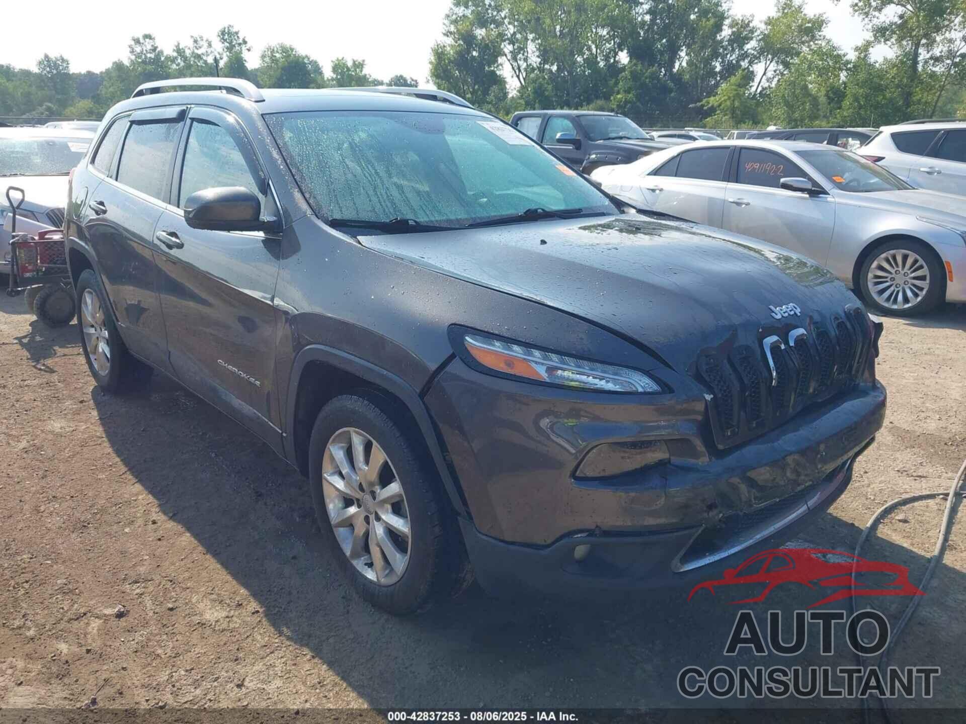 JEEP CHEROKEE 2016 - 1C4PJMDS3GW360319