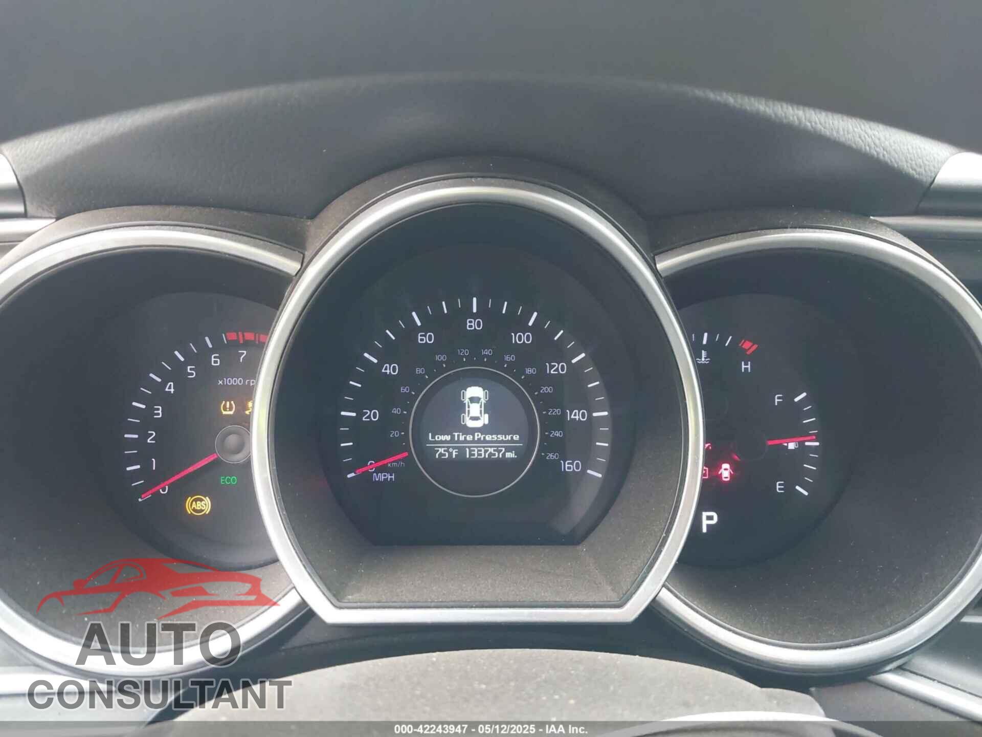 KIA OPTIMA 2014 - KNAGM4A79E5493996