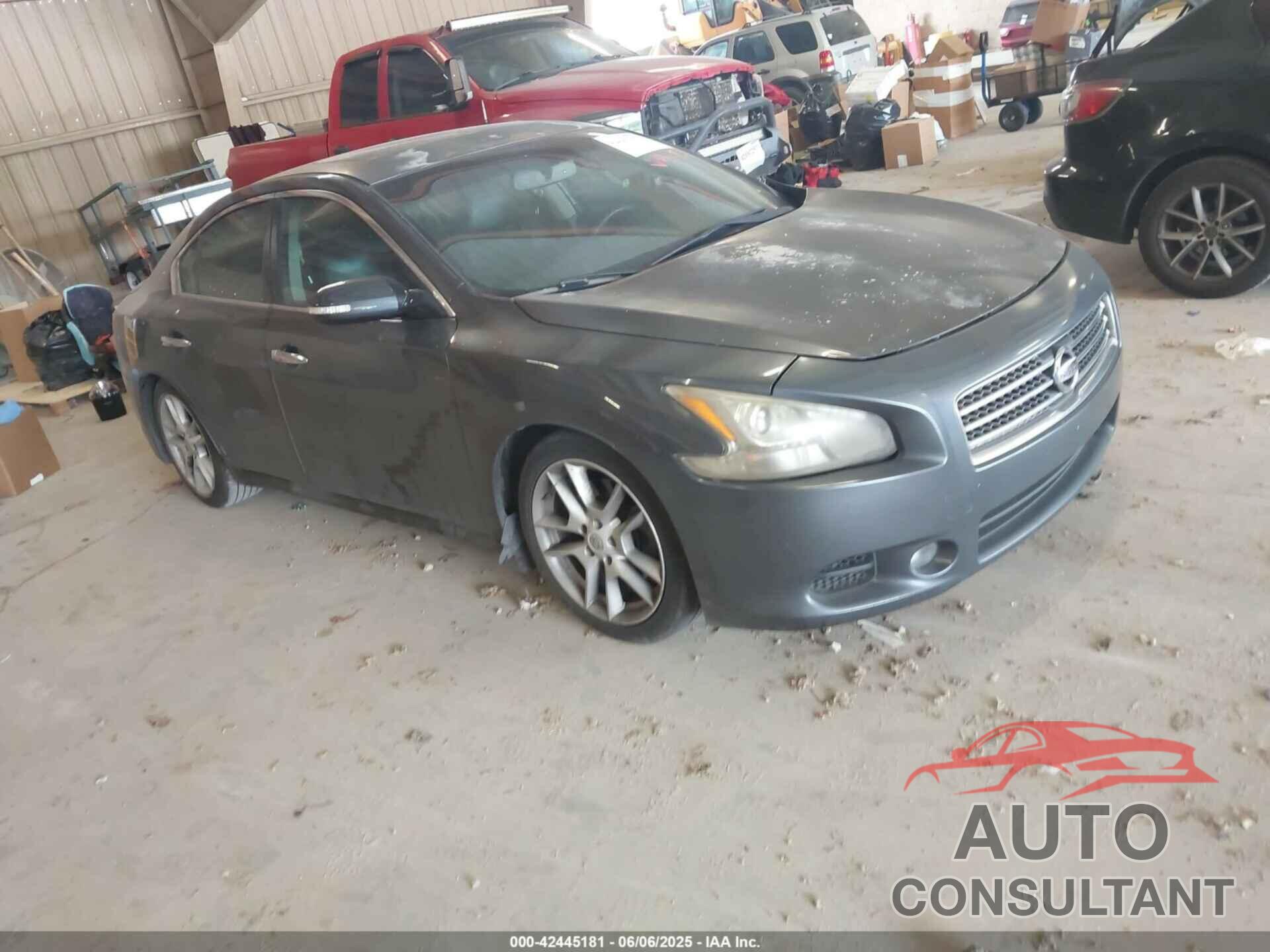 NISSAN MAXIMA 2009 - 1N4AA51E29C827105