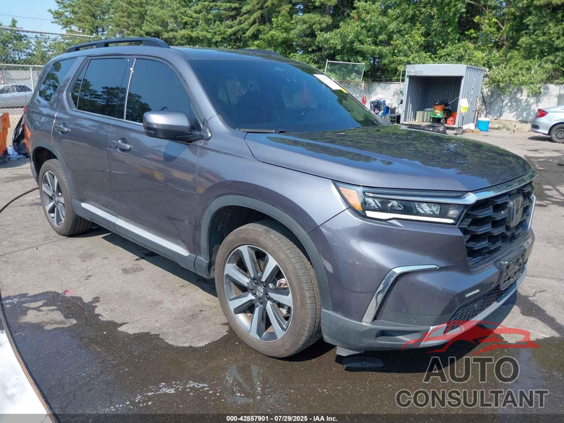 HONDA PILOT 2024 - 5FNYG1H74RB021101