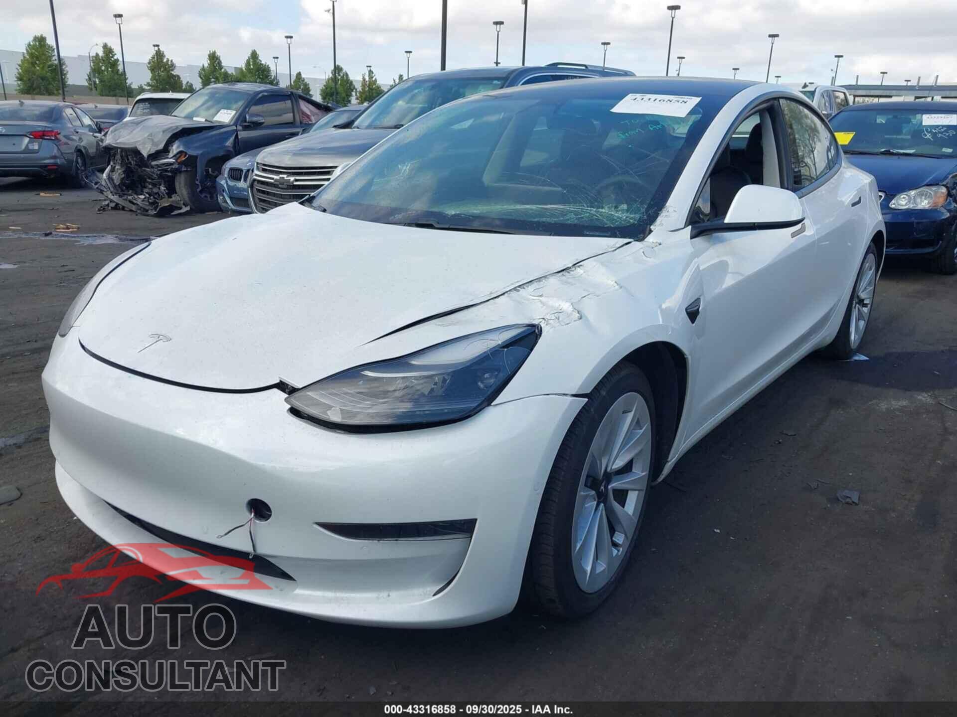 TESLA MODEL 3 2021 - 5YJ3E1EA2MF018190