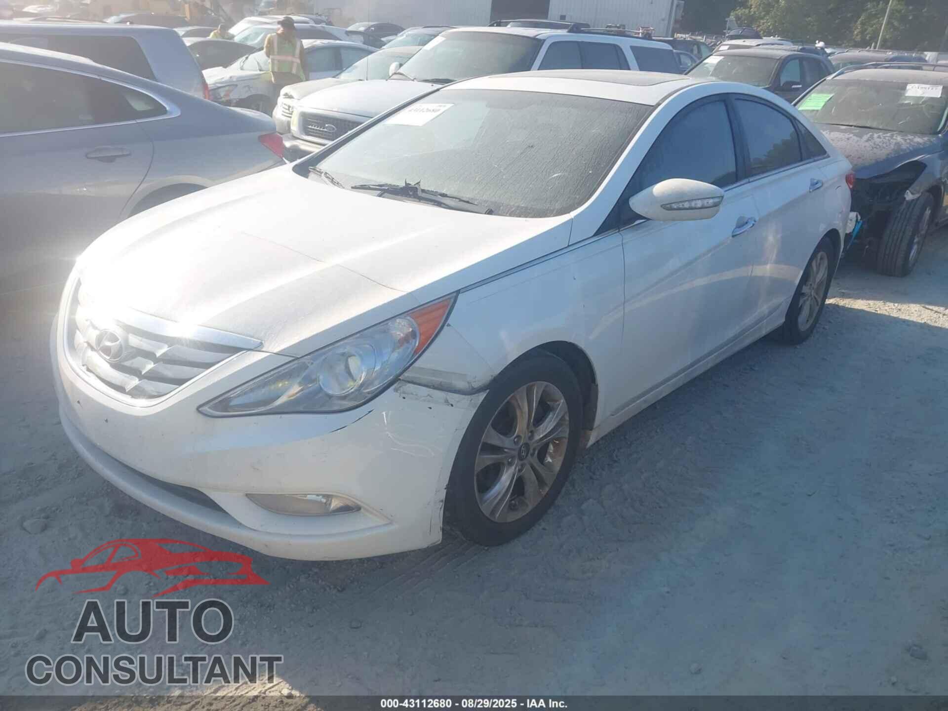 HYUNDAI SONATA 2011 - 5NPEC4AC1BH010135