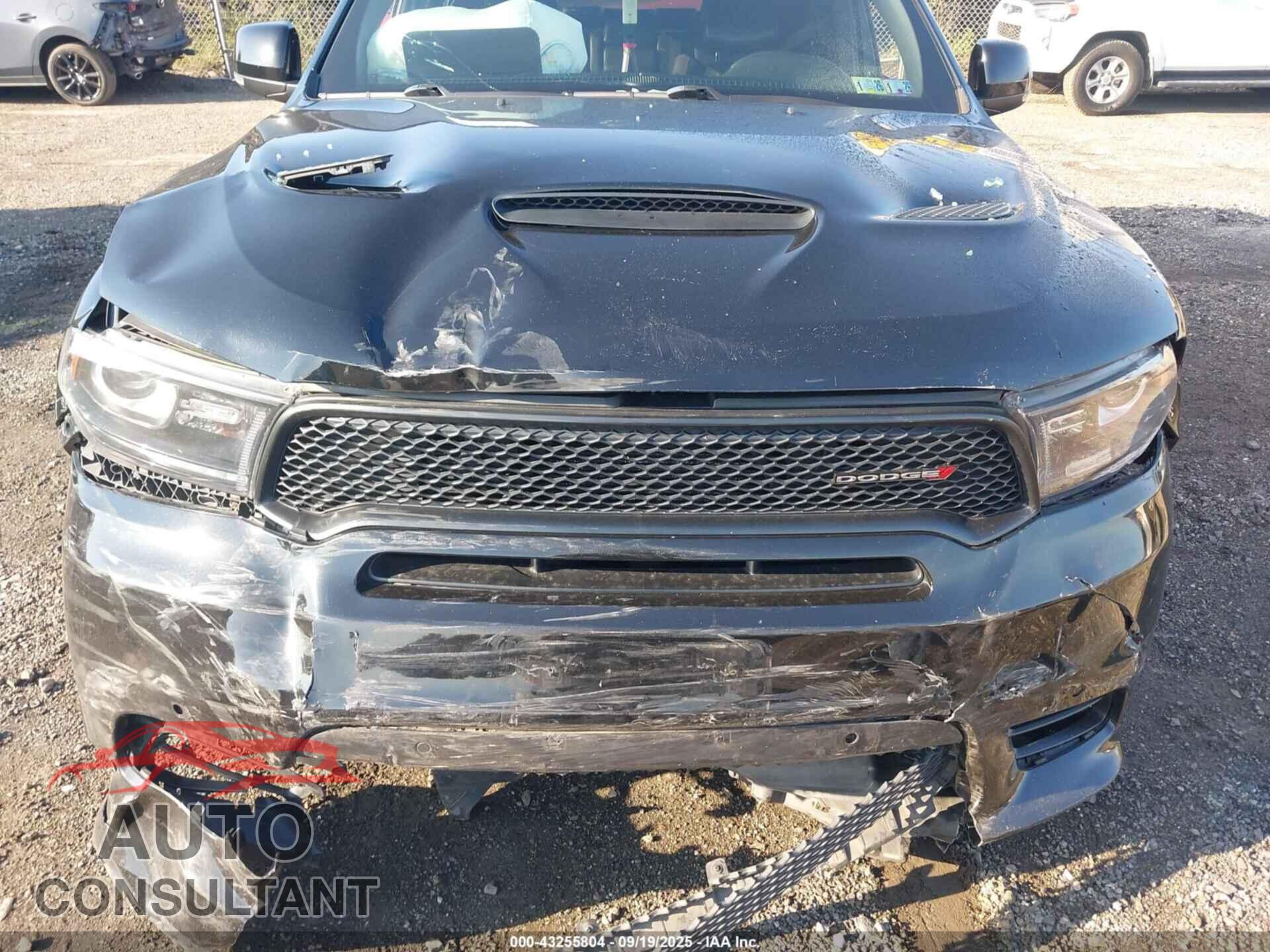 DODGE DURANGO 2019 - 1C4SDJCT7KC738436