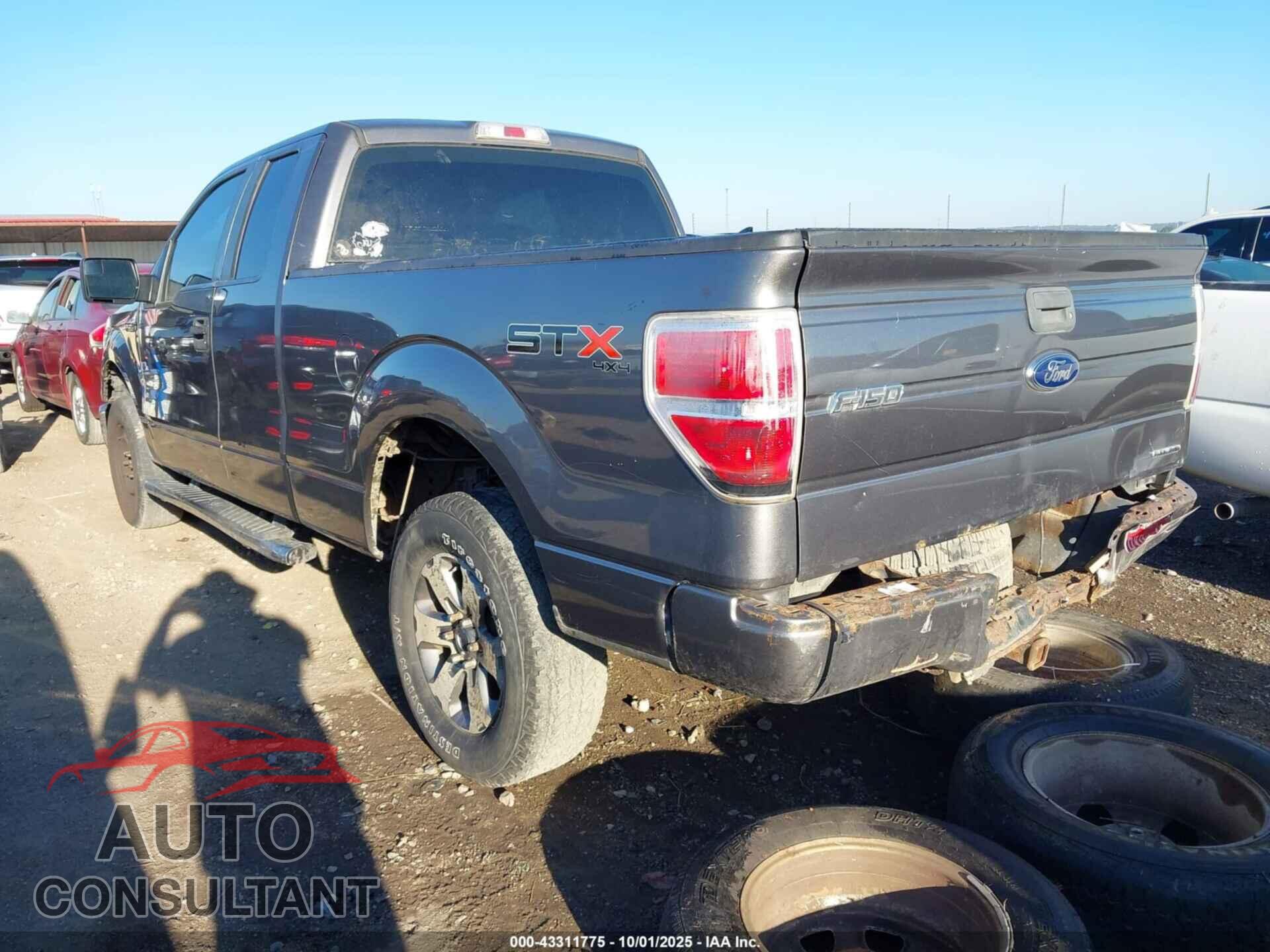 FORD F-150 2013 - 1FTFX1EF2DFC13043