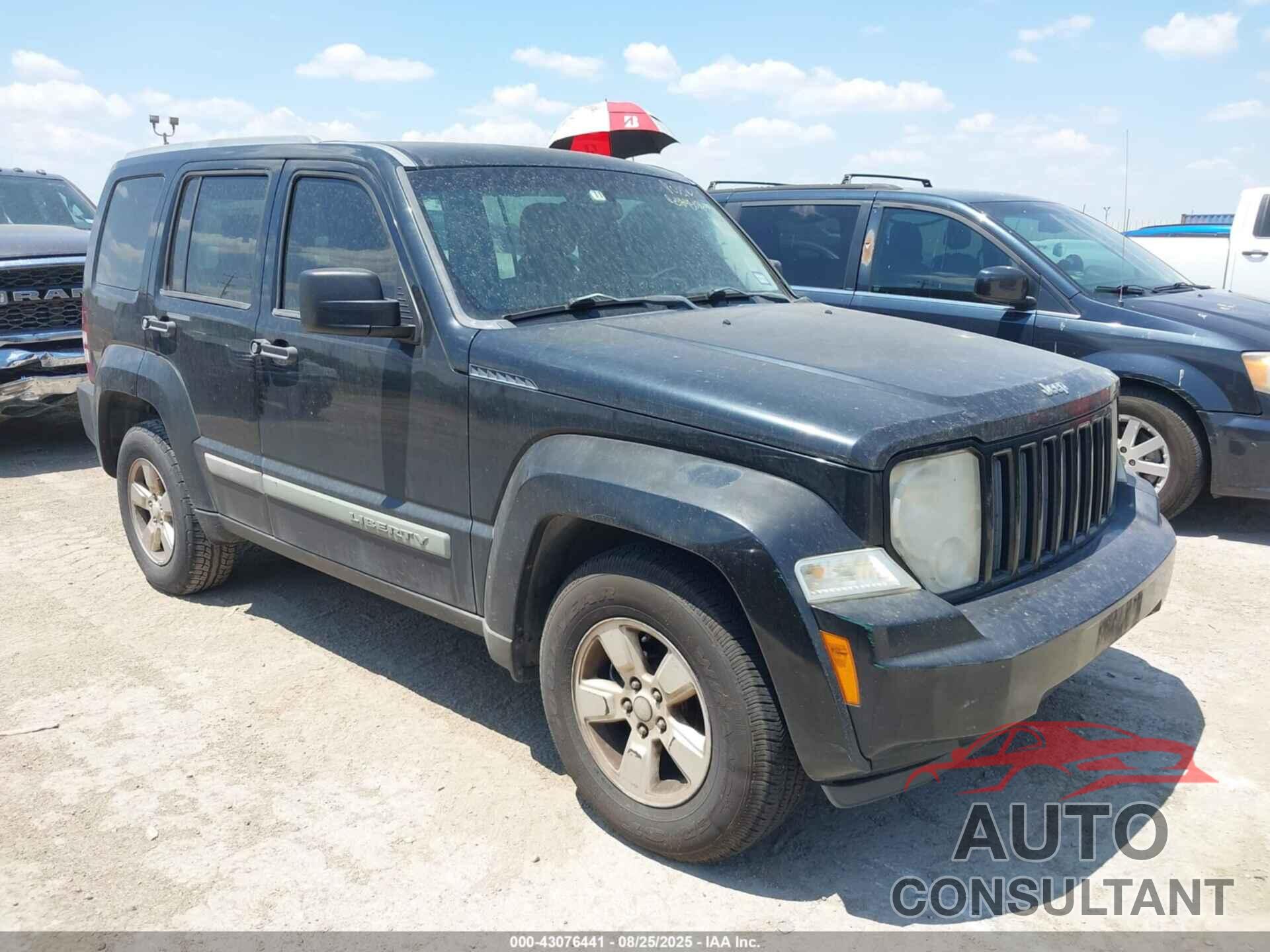 JEEP LIBERTY 2010 - 1J4PN2GK1AW139419