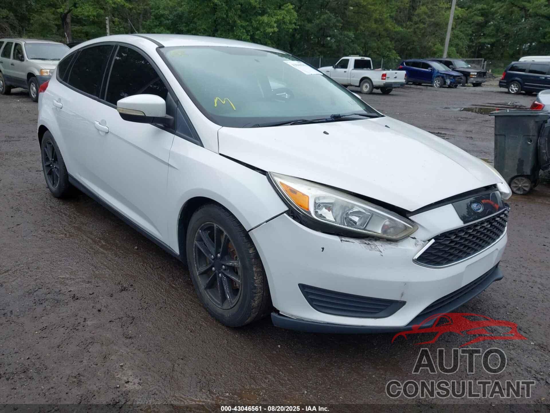 FORD FOCUS 2015 - 1FADP3K29FL383205
