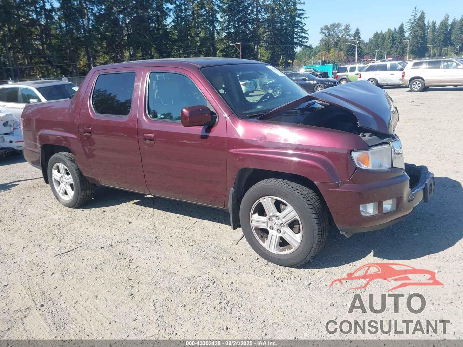 HONDA RIDGELINE 2010 - 5FPYK1F50AB012939