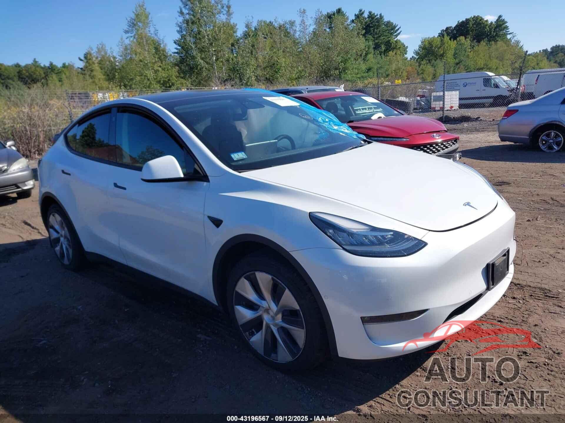 TESLA MODEL Y 2022 - 7SAYGDEE6NF337729