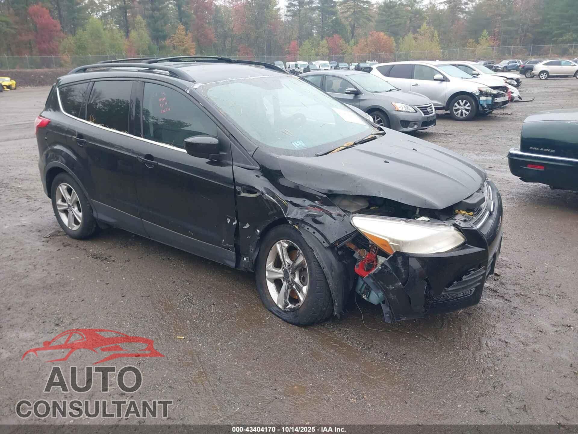 FORD ESCAPE 2013 - 1FMCU9G92DUC01256