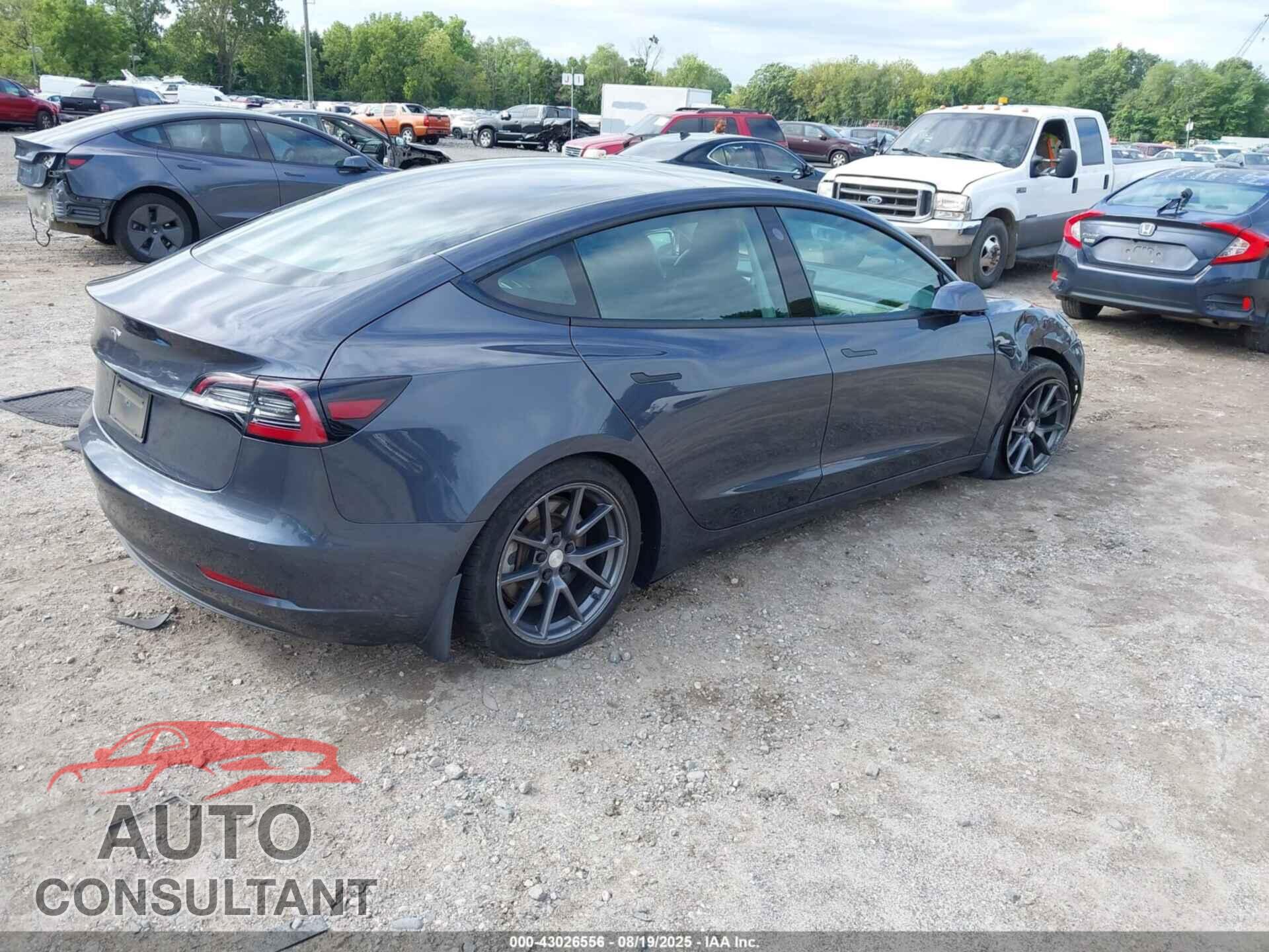 TESLA MODEL 3 2021 - 5YJ3E1EA0MF060535