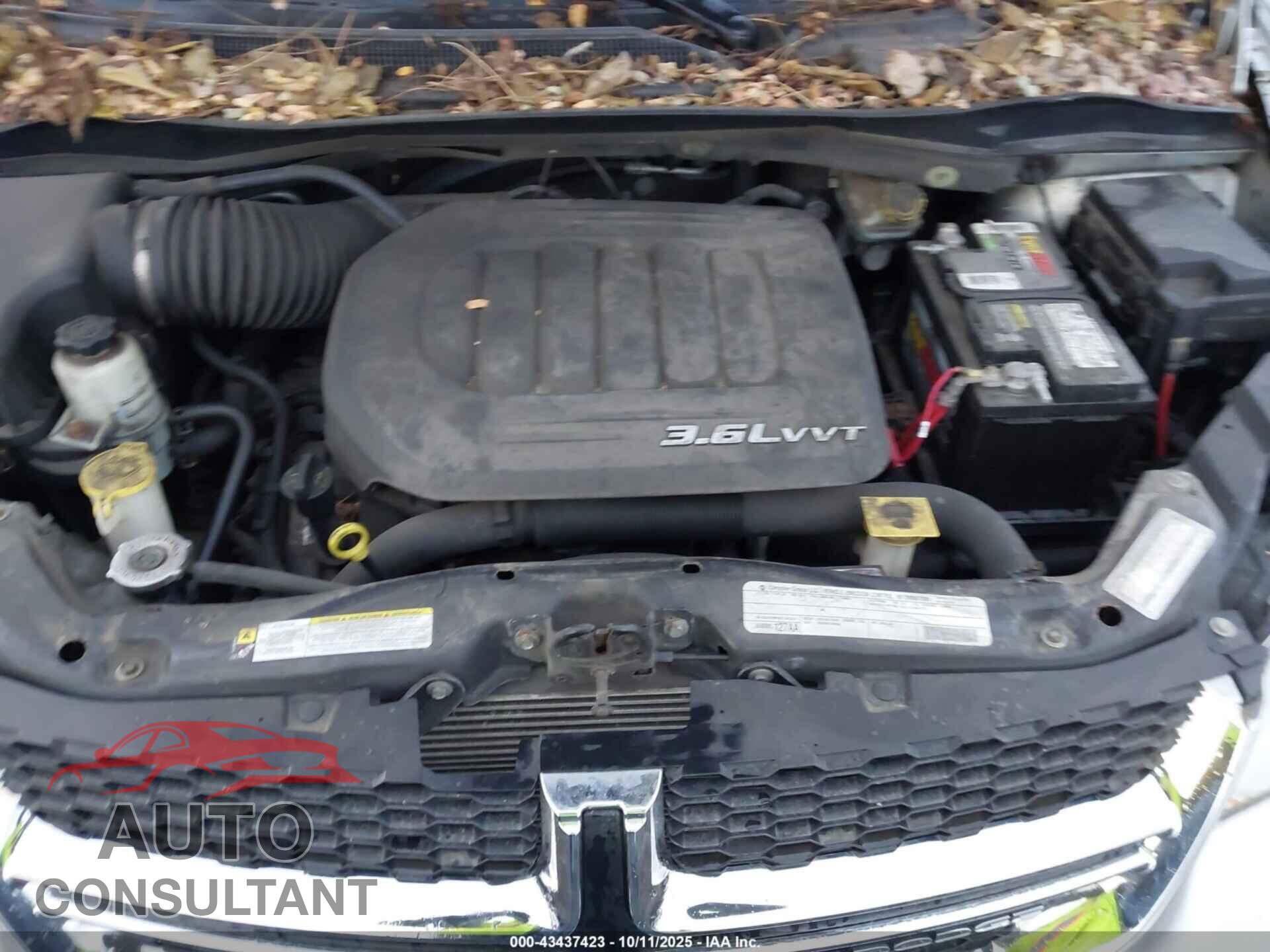 DODGE GRAND CARAVAN 2011 - 2D4RN3DG4BR743239