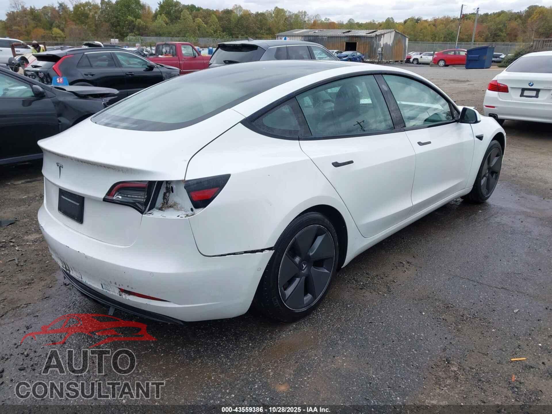 TESLA MODEL 3 2021 - 5YJ3E1EA5MF943143