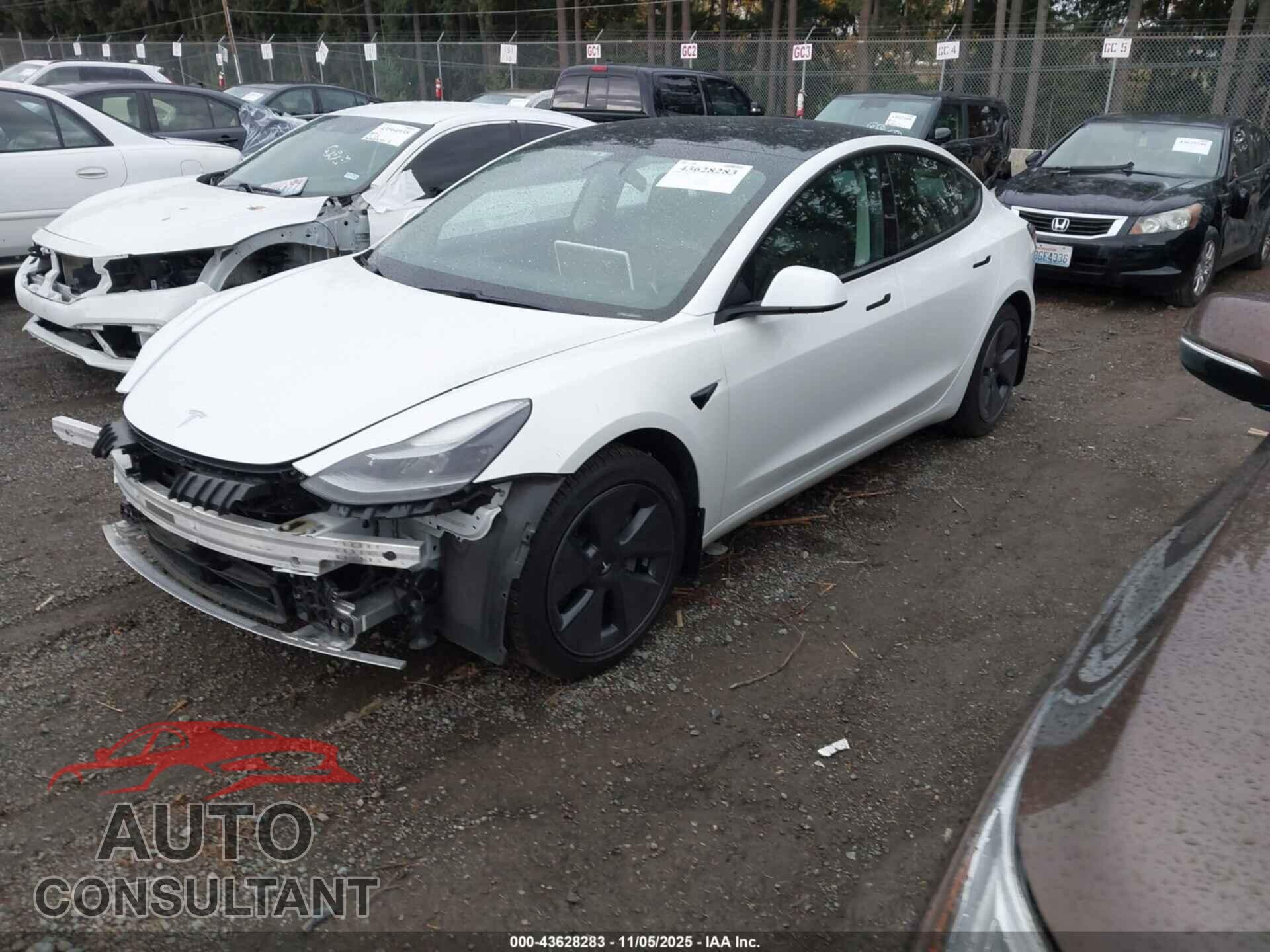 TESLA MODEL 3 2021 - 5YJ3E1EB3MF003111