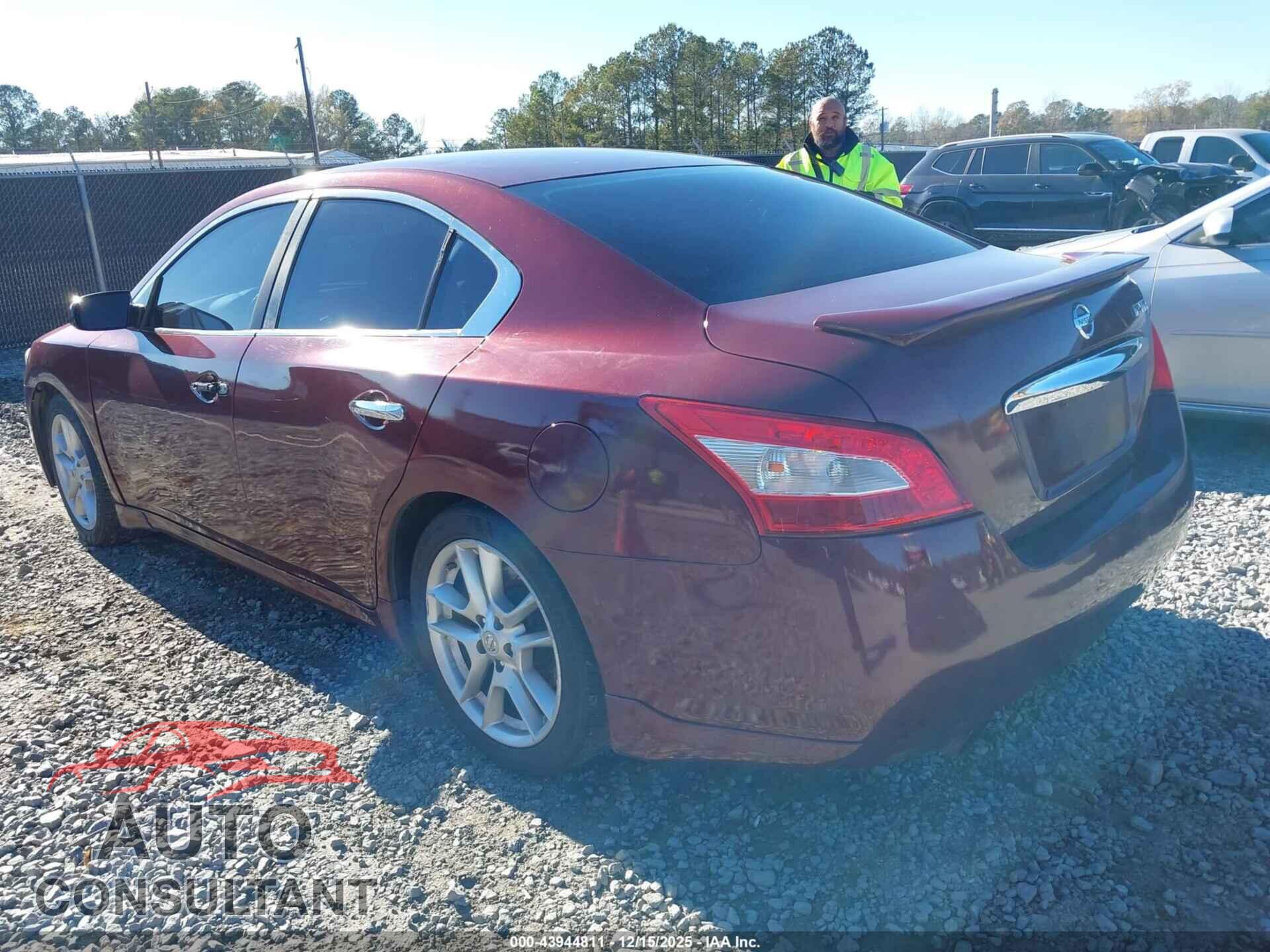 NISSAN MAXIMA 2009 - 1N4AA51E79C843302
