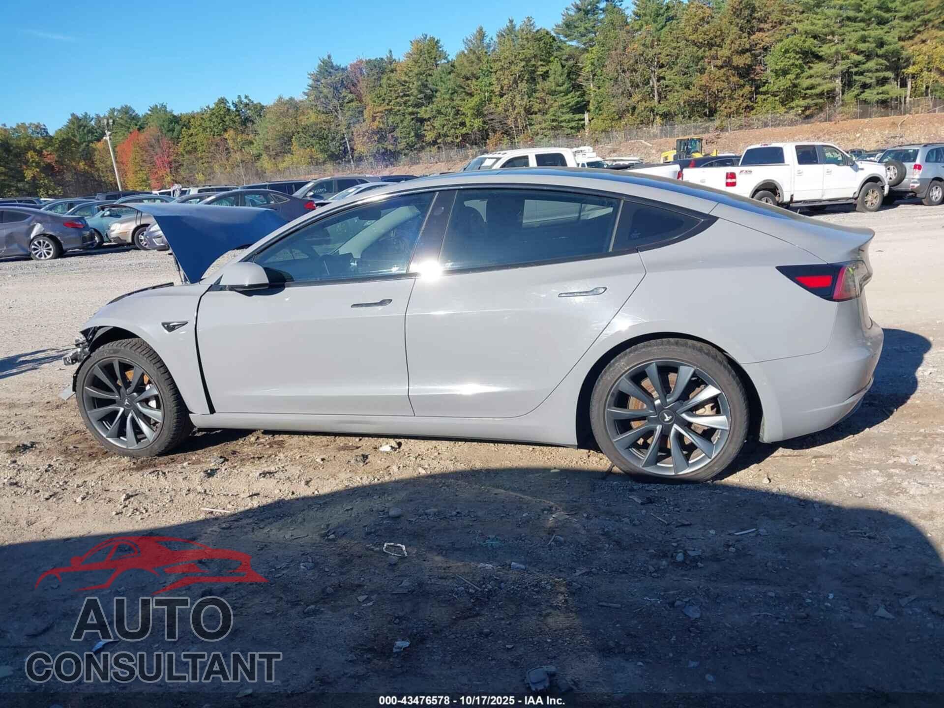 TESLA MODEL 3 2018 - 5YJ3E1EA8JF017475