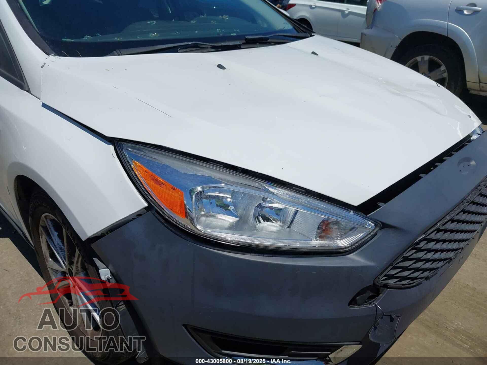 FORD FOCUS 2016 - 1FADP3K21GL294892