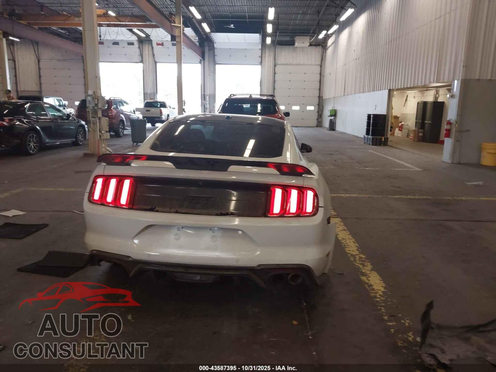 FORD MUSTANG 2019 - 1FA6P8CF4K5202372