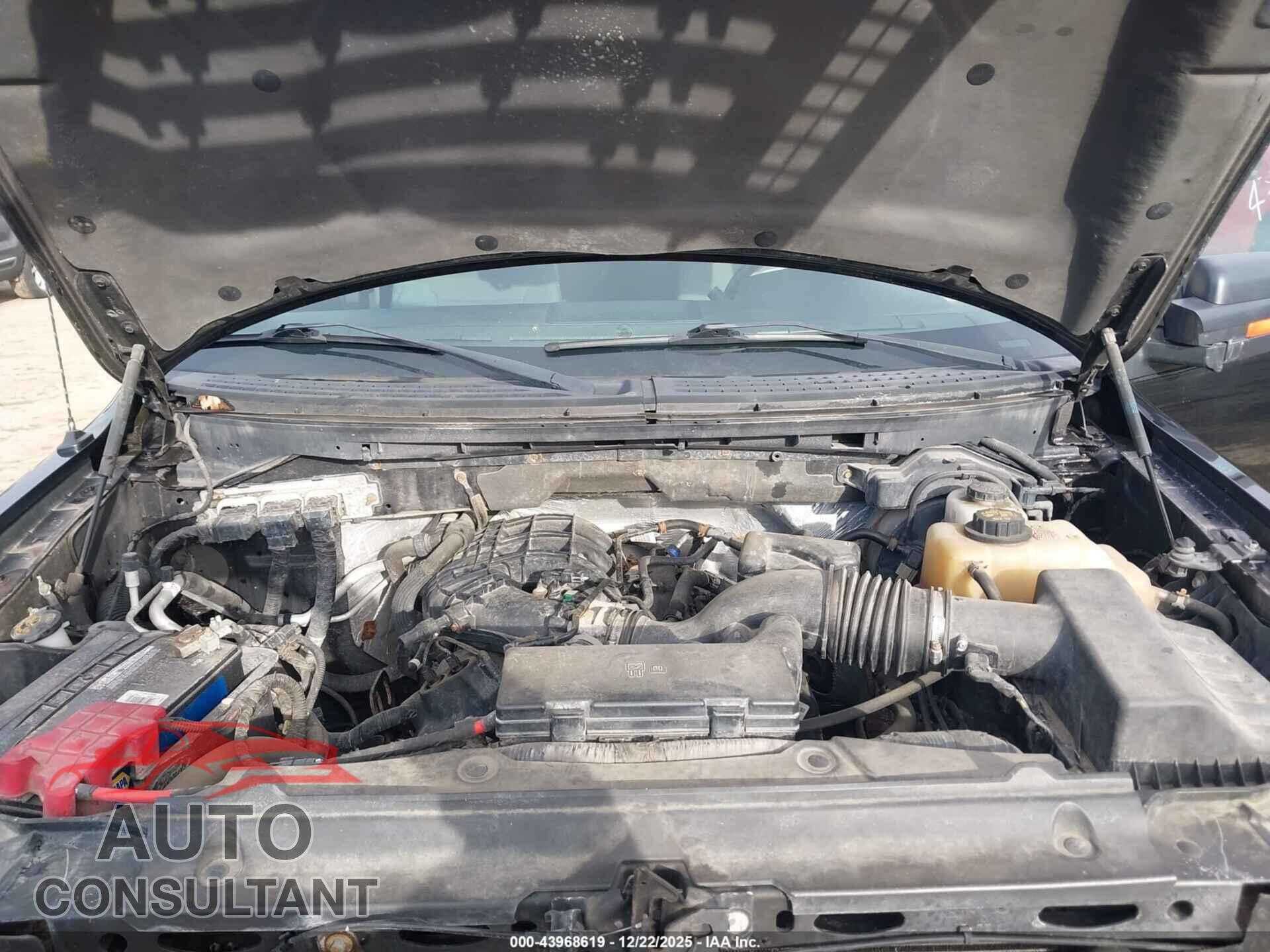 FORD F-150 2011 - 1FTEX1EM4BFC19370