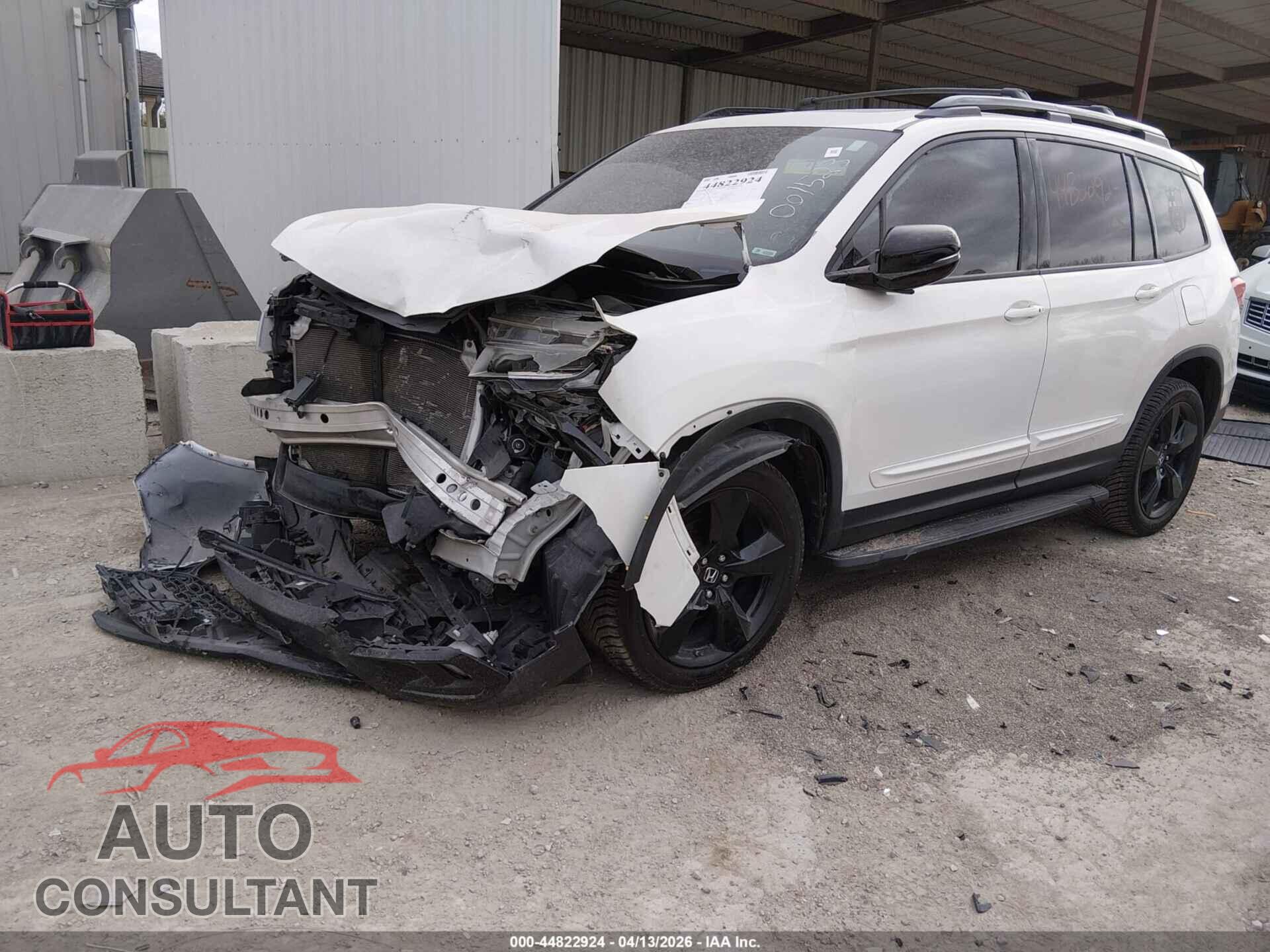 HONDA PASSPORT 2019 - 5FNYF8H01KB001523