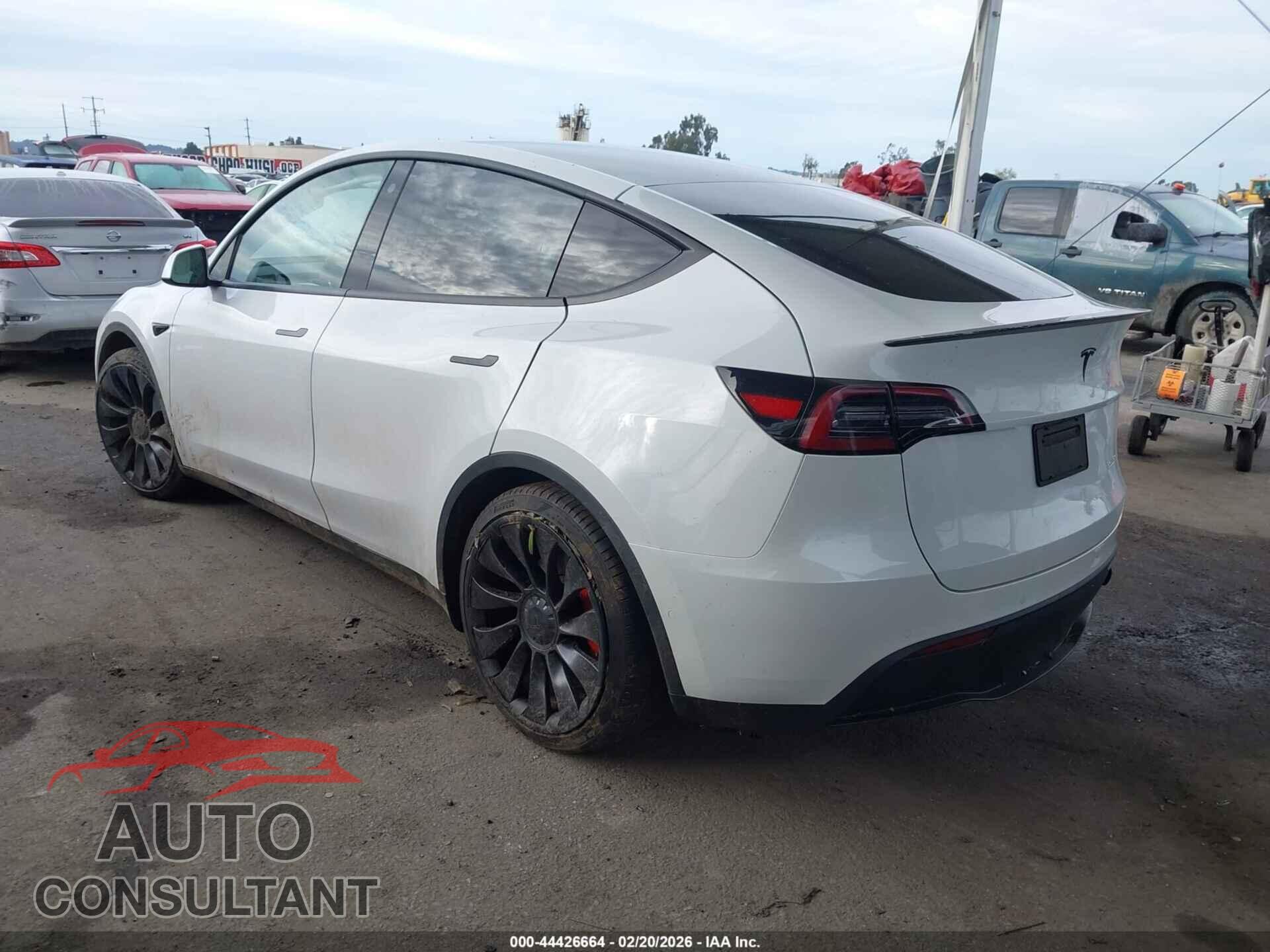 TESLA MODEL Y 2022 - 7SAYGDEF5NF410534