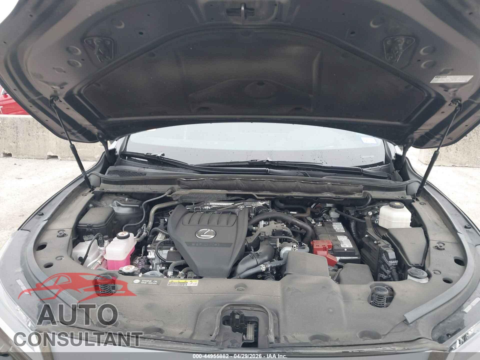 LEXUS RX 350 2024 - 2T2BAMBA3RC028067