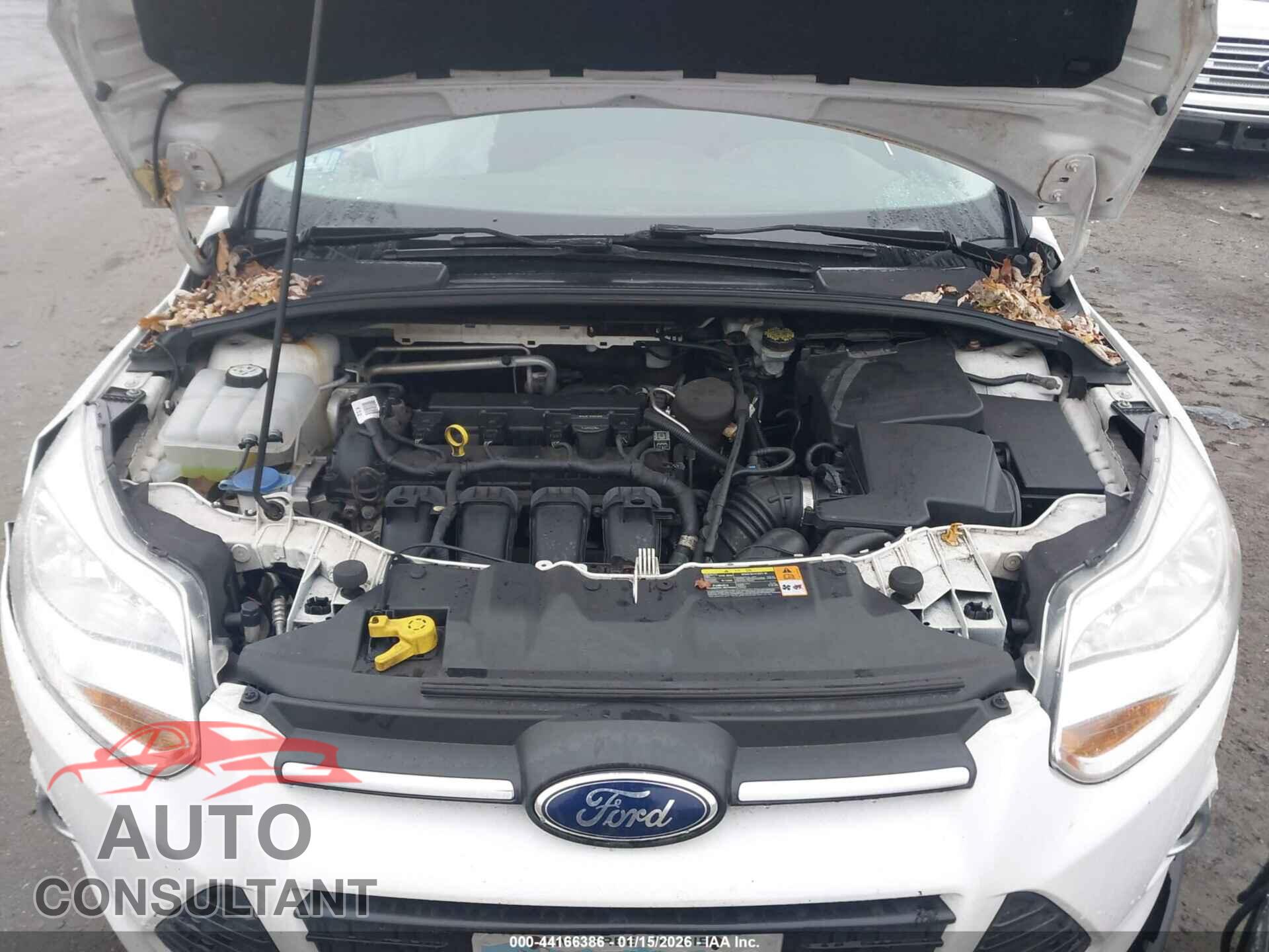 FORD FOCUS 2012 - 1FAHP3F24CL425657