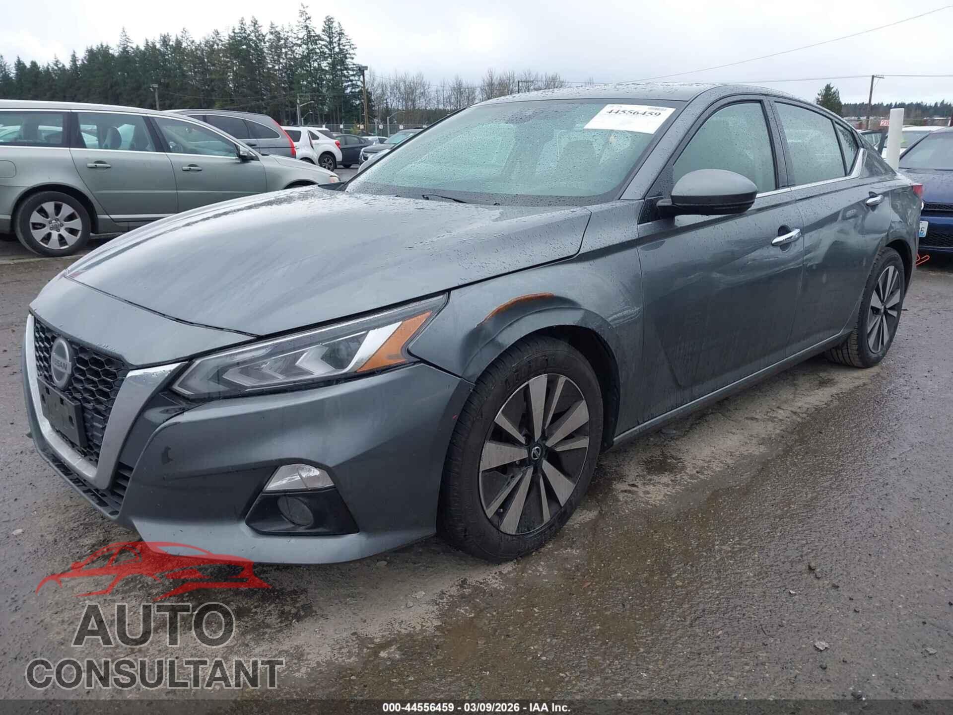 NISSAN ALTIMA 2019 - 1N4BL4EV1KC253170