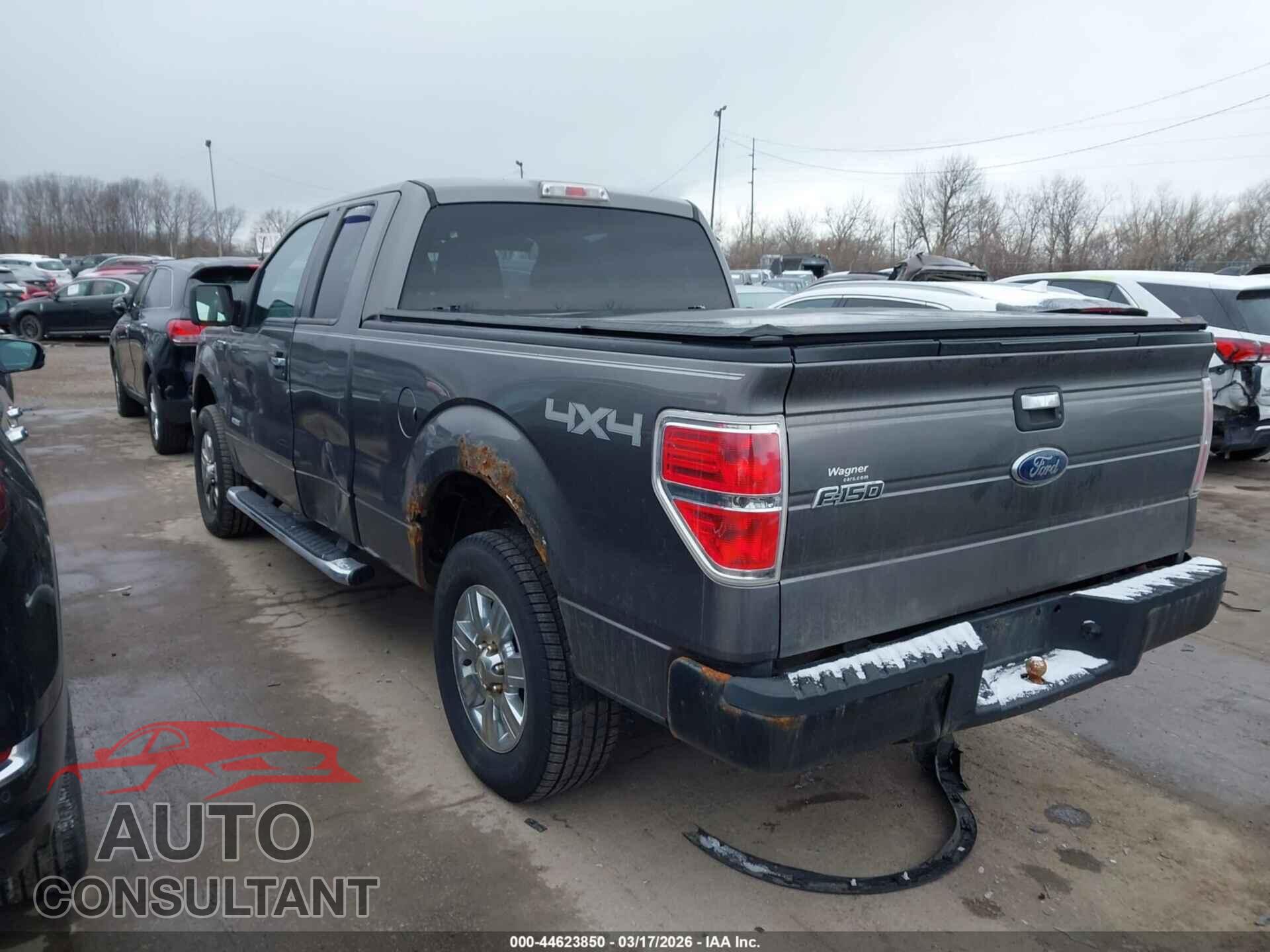 FORD F-150 2011 - 1FTFX1ET2BFD25277