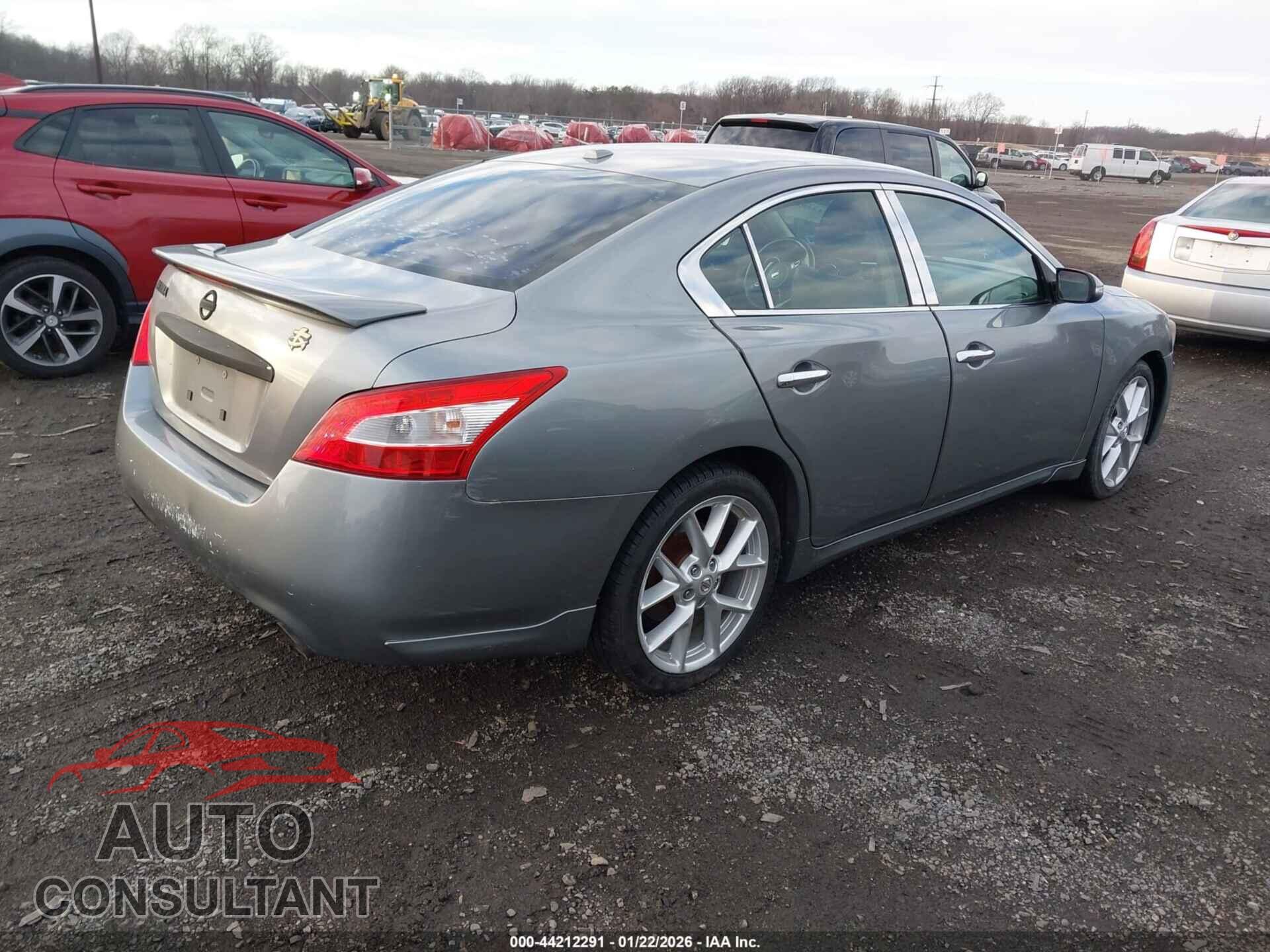 NISSAN MAXIMA 2009 - 1N4AA51E79C803091