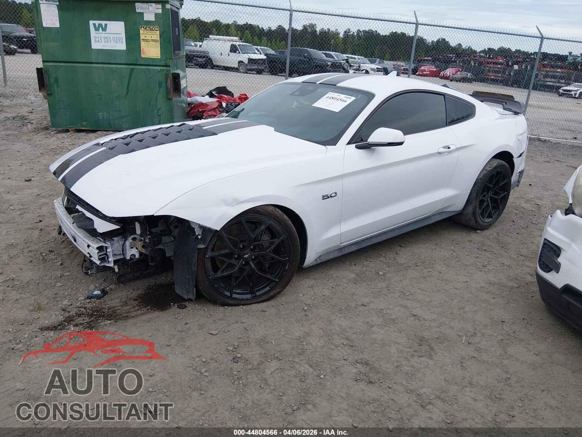 FORD MUSTANG 2021 - 1FA6P8CF8M5134886