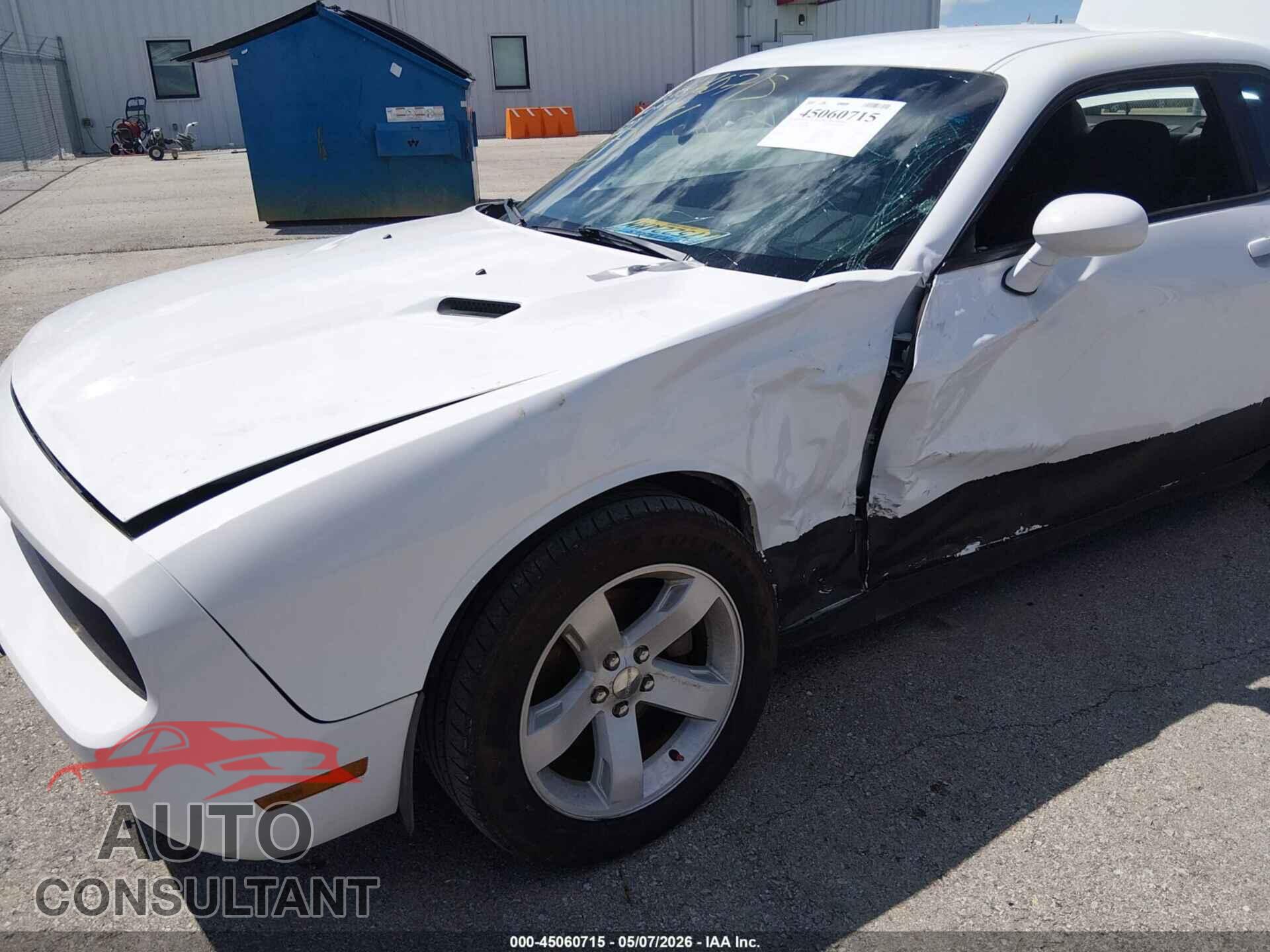 DODGE CHALLENGER 2013 - 2C3CDYAG2DH645847