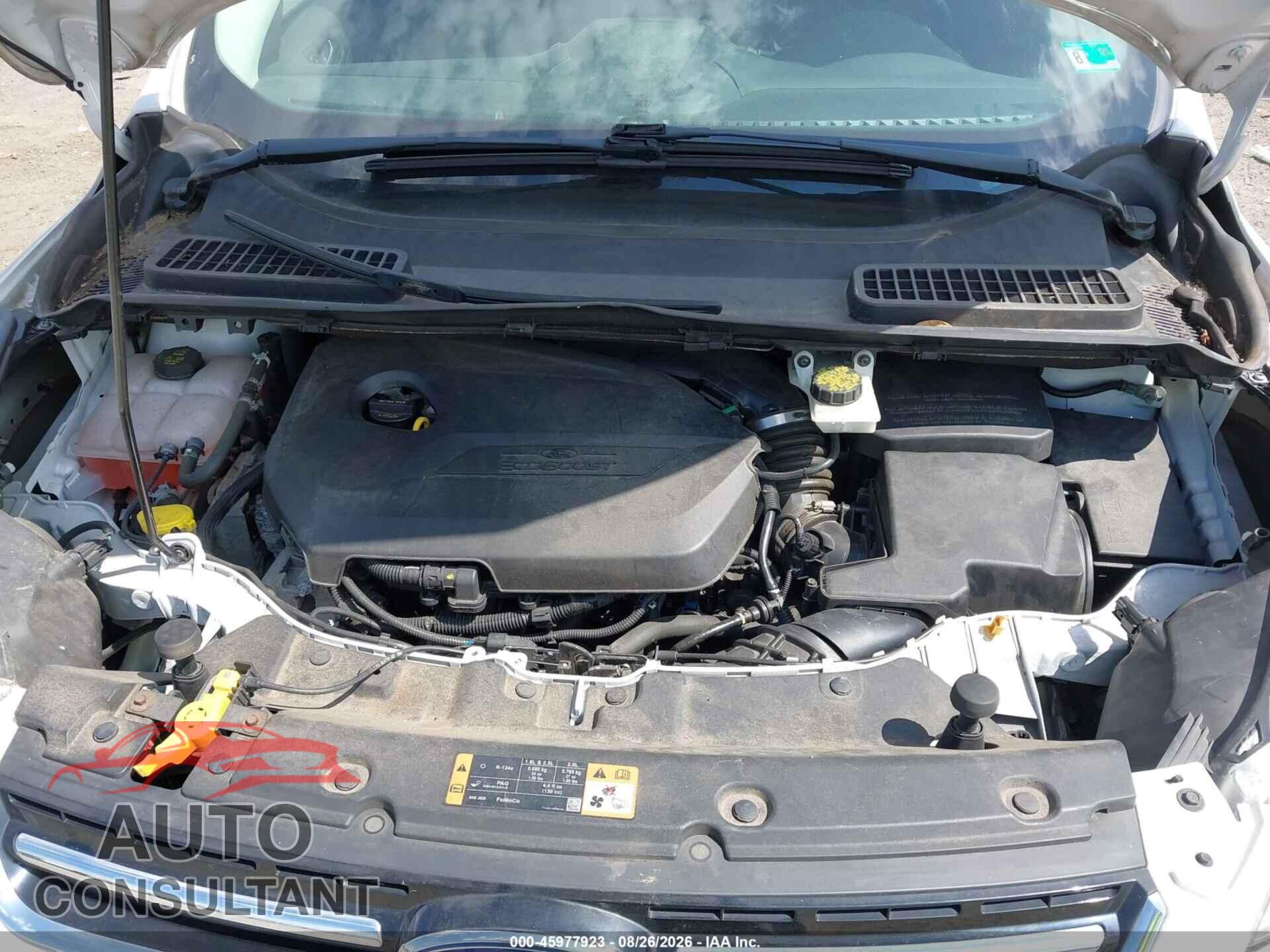 FORD ESCAPE 2014 - 1FMCU0JX4EUC35039