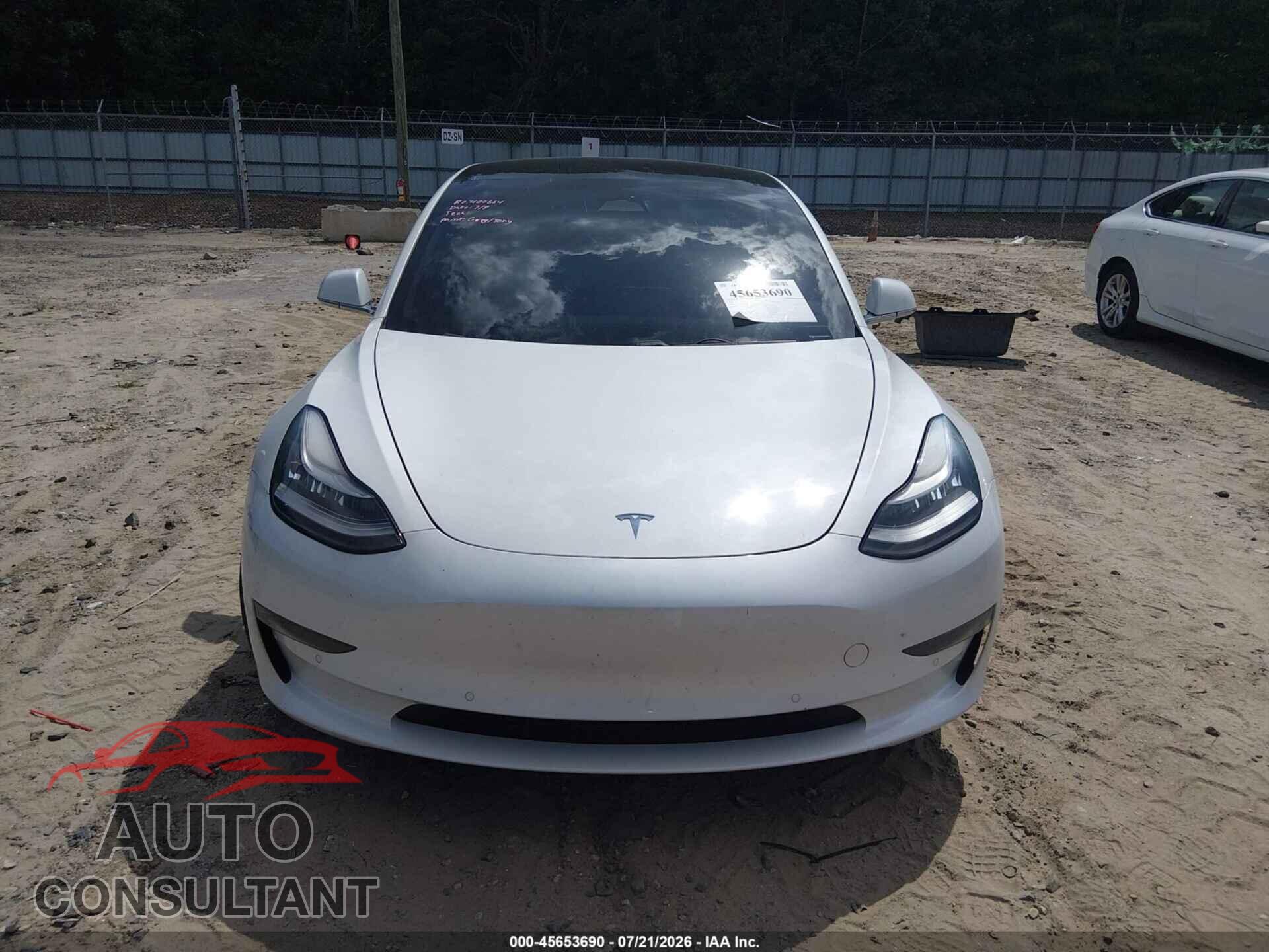 TESLA MODEL 3 2019 - 5YJ3E1EB1KF494792