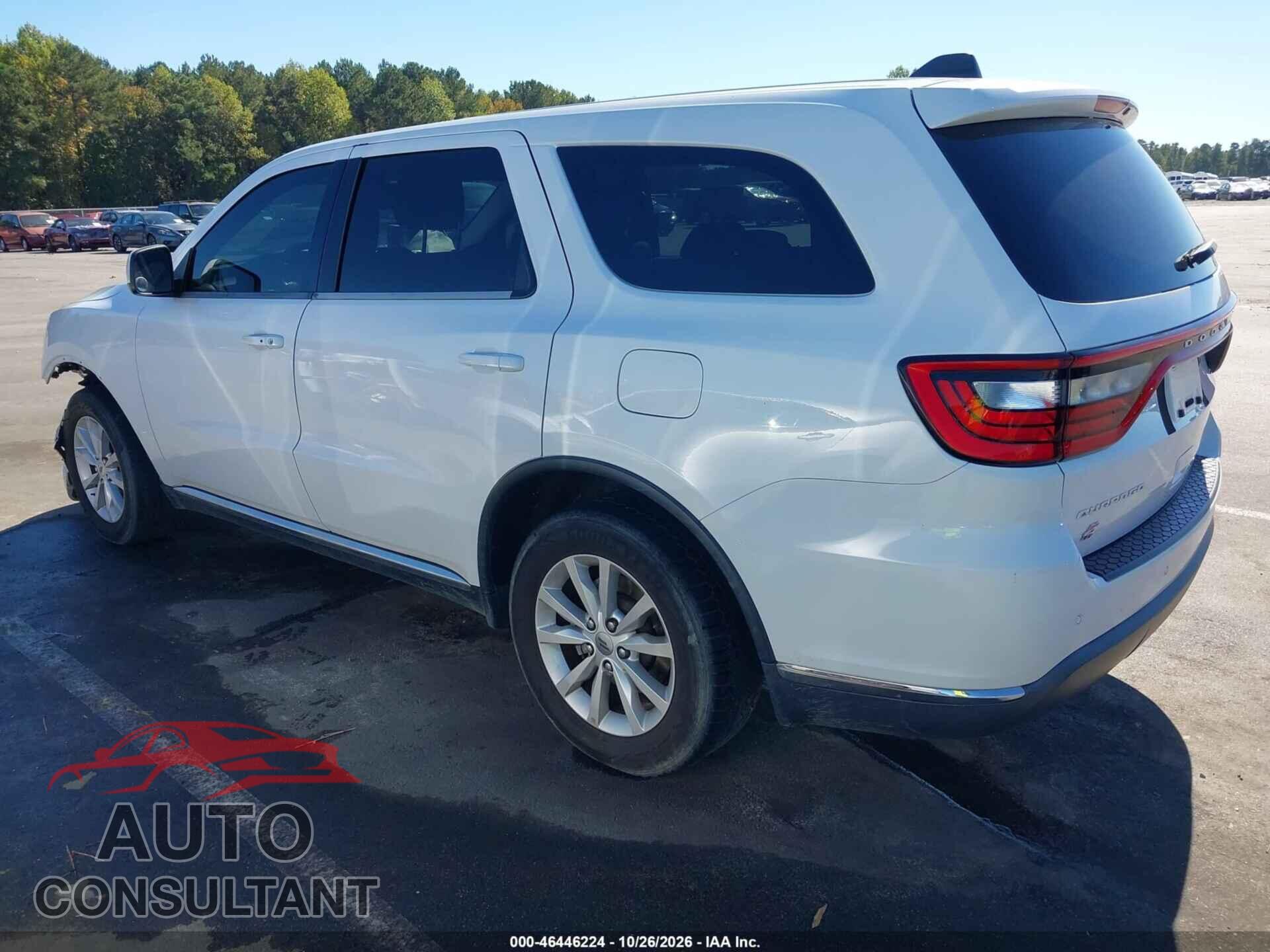 DODGE DURANGO 2019 - 1C4RDJFG8KC717687