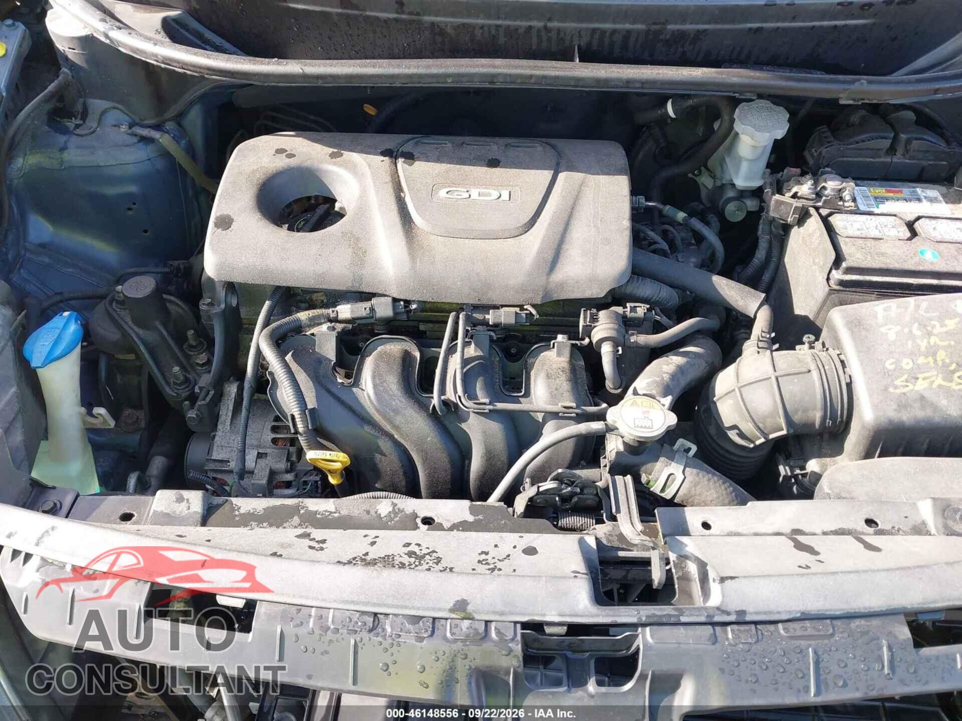 KIA RIO 2016 - KNADN4A33G6600566