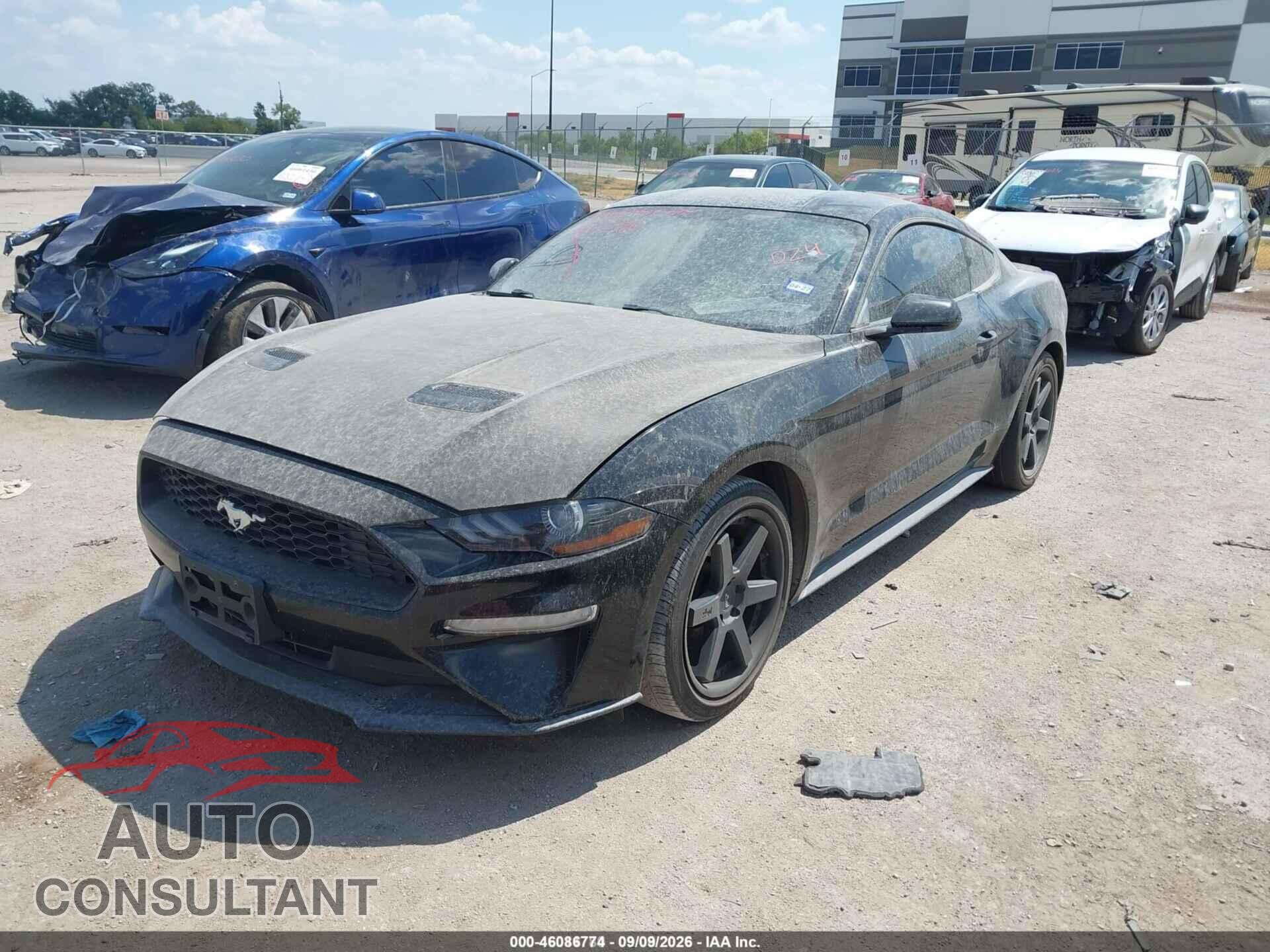 FORD MUSTANG 2019 - 1FA6P8TH5K5118059