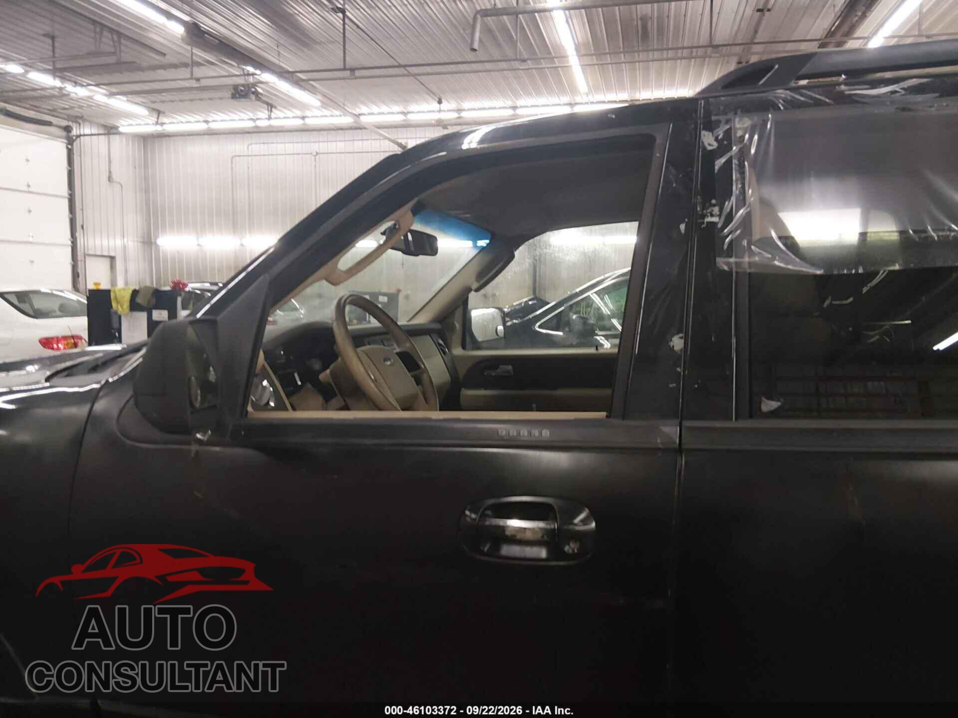 FORD EXPEDITION 2009 - 1FMFU16559EA86389