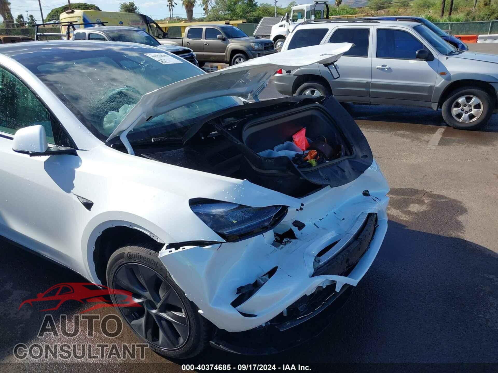 TESLA MODEL Y 2024 - 7SAYGDED2RF094899