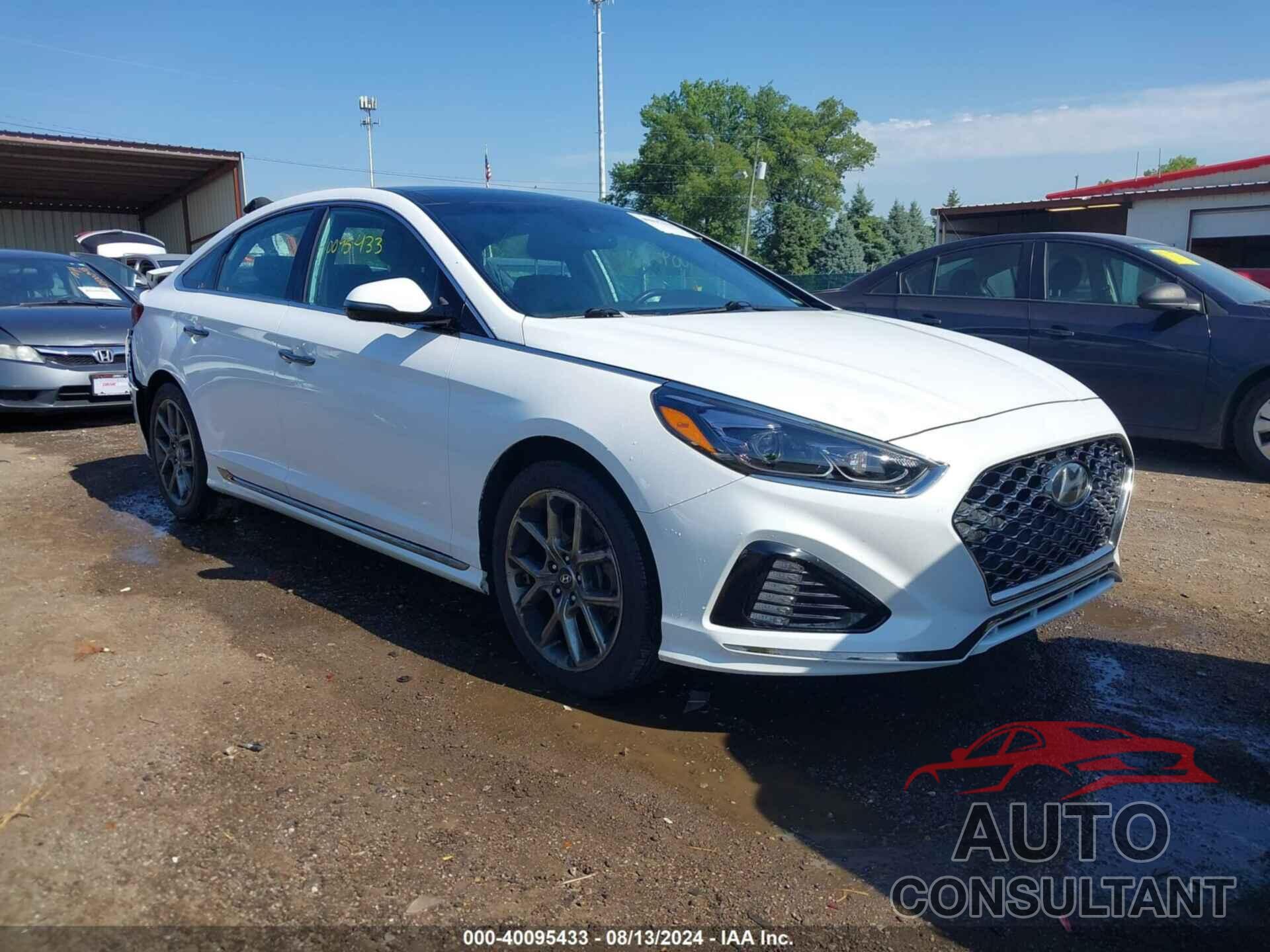 HYUNDAI SONATA 2019 - 5NPE34AB7KH788835