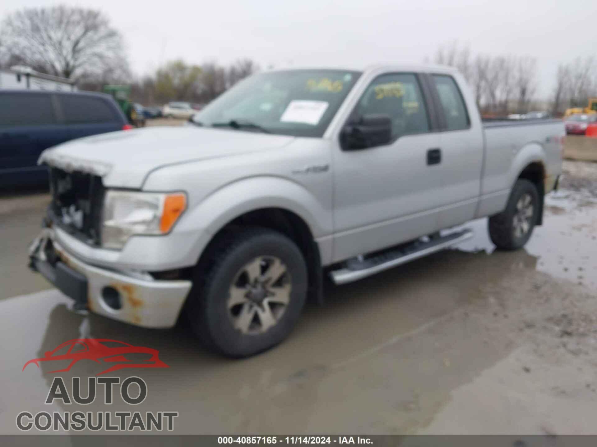 FORD F-150 2013 - 1FTFX1EF7DFD33954