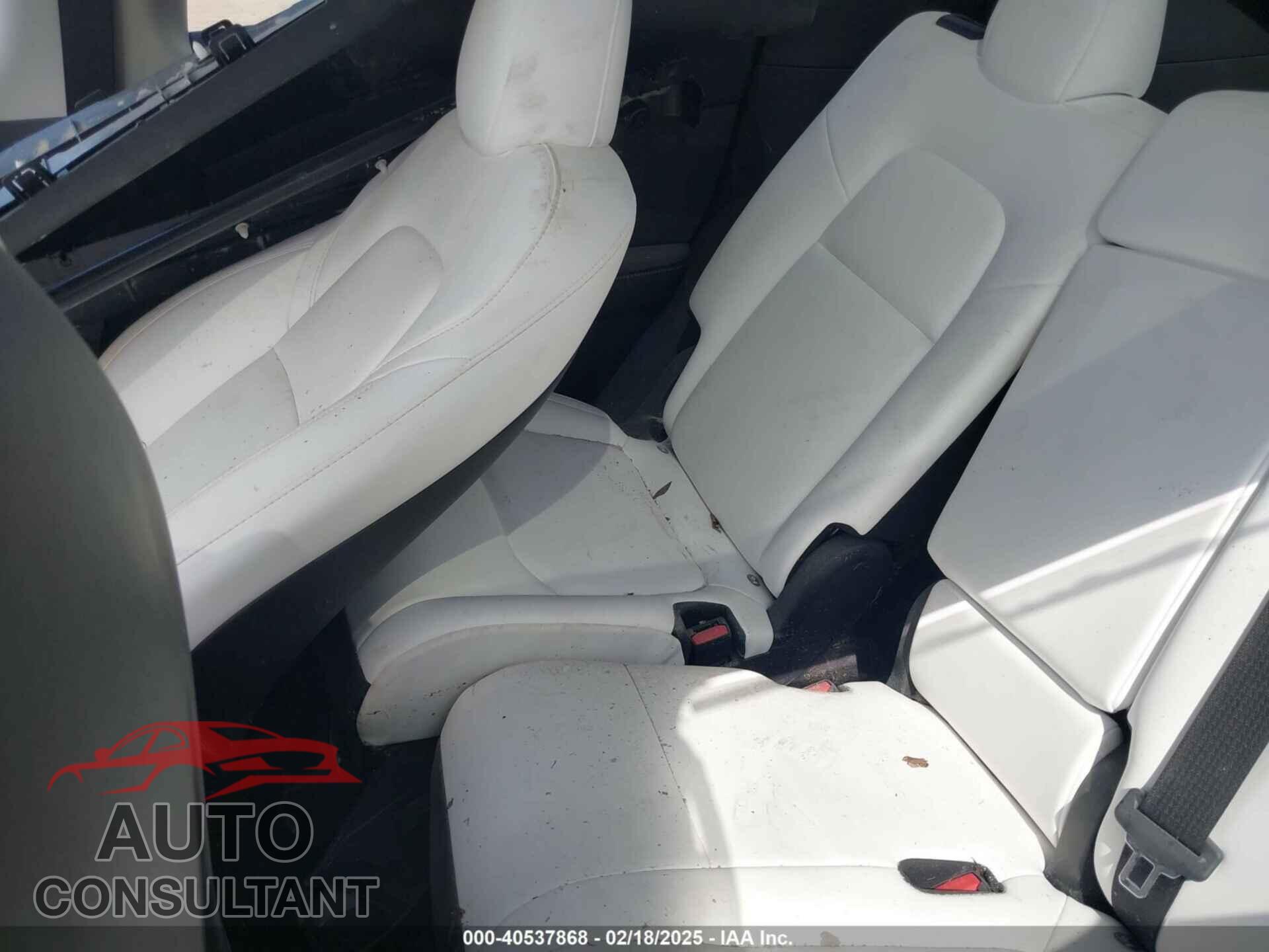 TESLA MODEL Y 2024 - 7SAYGAEE5RF074699