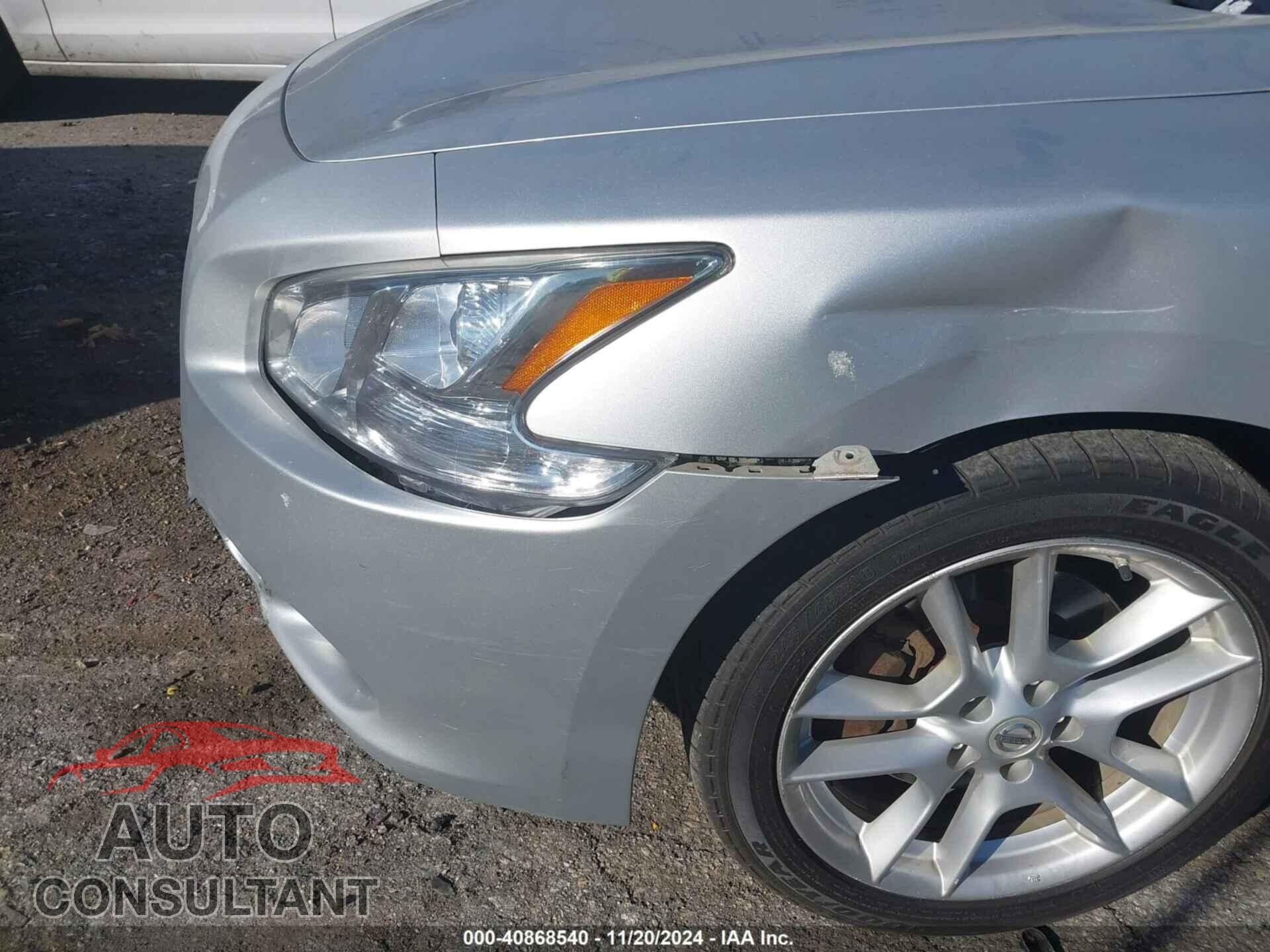 NISSAN MAXIMA 2009 - 1N4AA51E79C838357