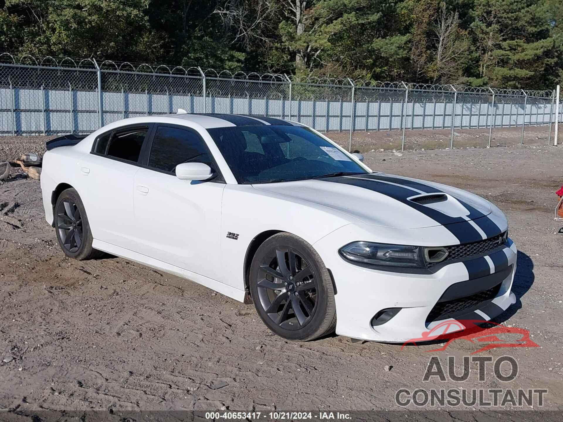 DODGE CHARGER 2019 - 2C3CDXGJ6KH748554
