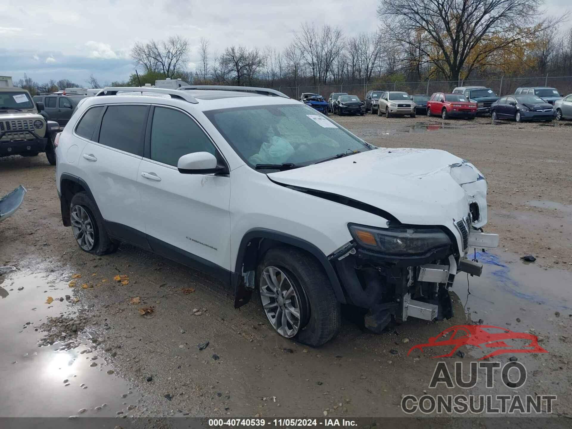 JEEP CHEROKEE 2019 - 1C4PJMLX9KD155265