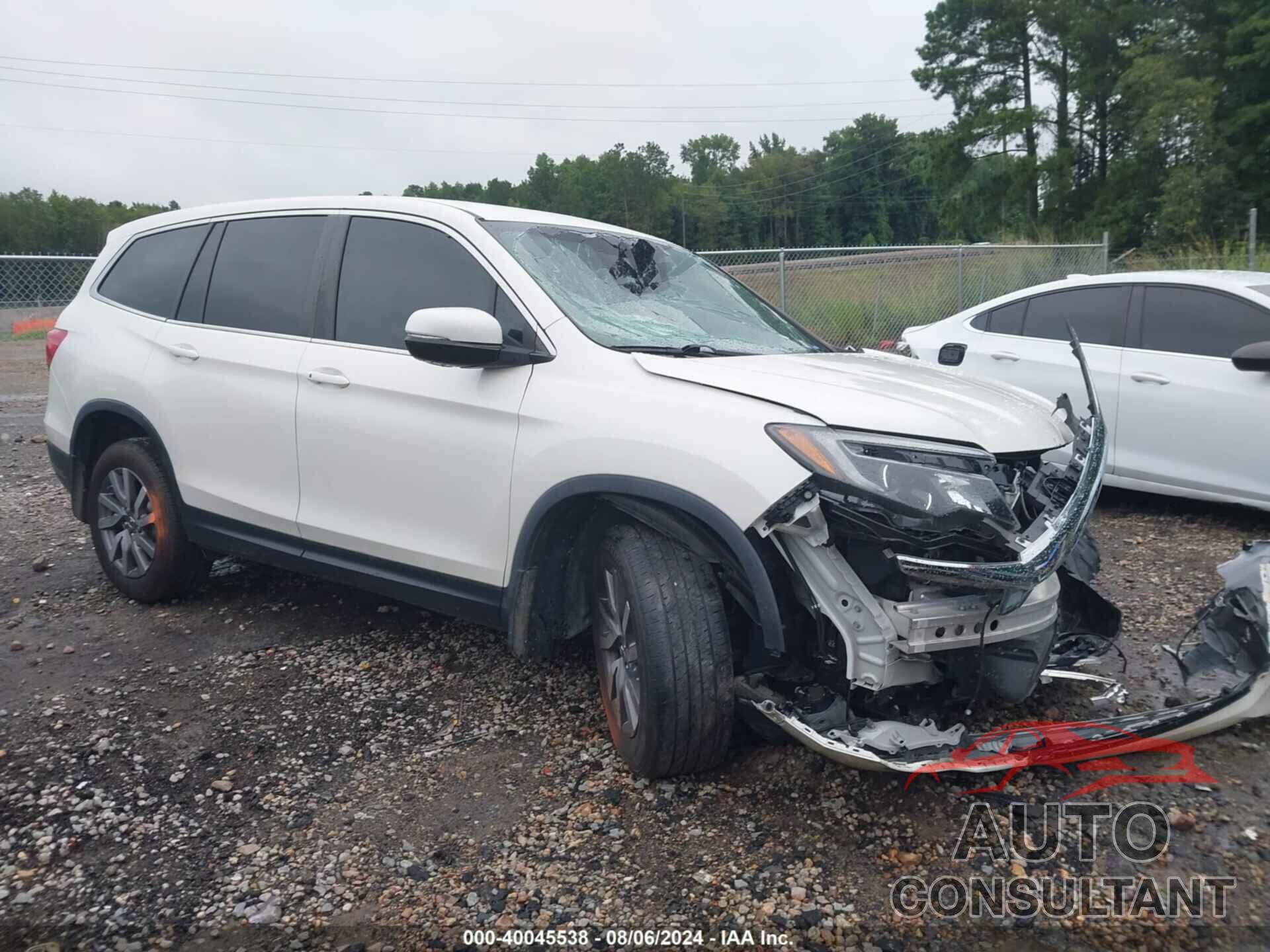 HONDA PILOT 2019 - 5FNYF5H57KB019440