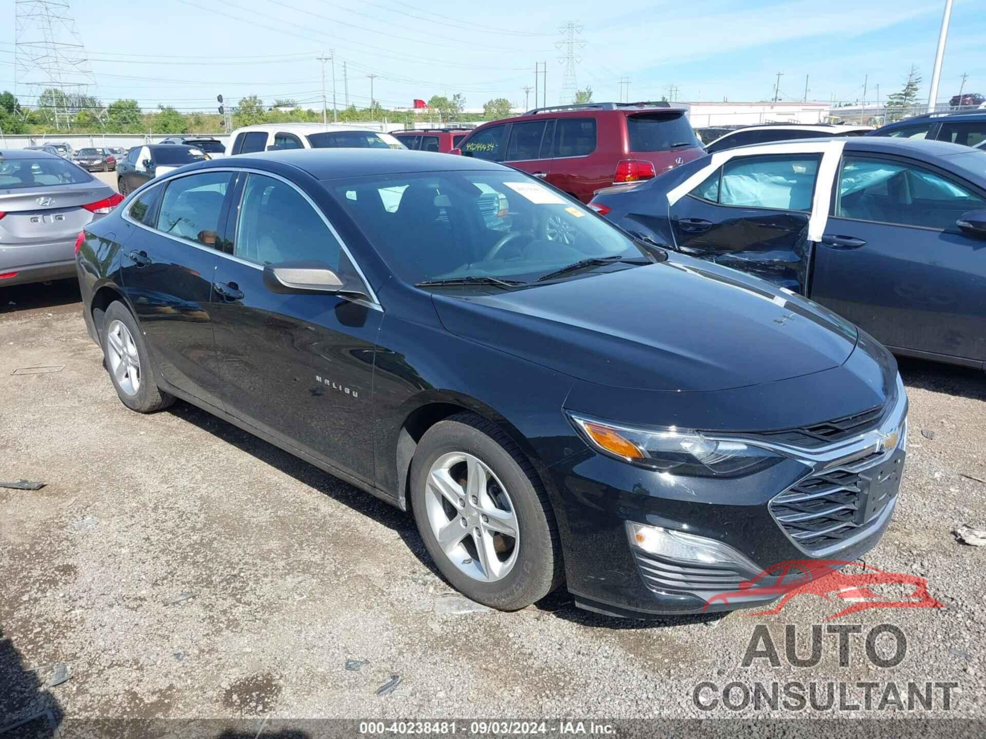 CHEVROLET MALIBU 2019 - 1G1ZB5ST4KF220711