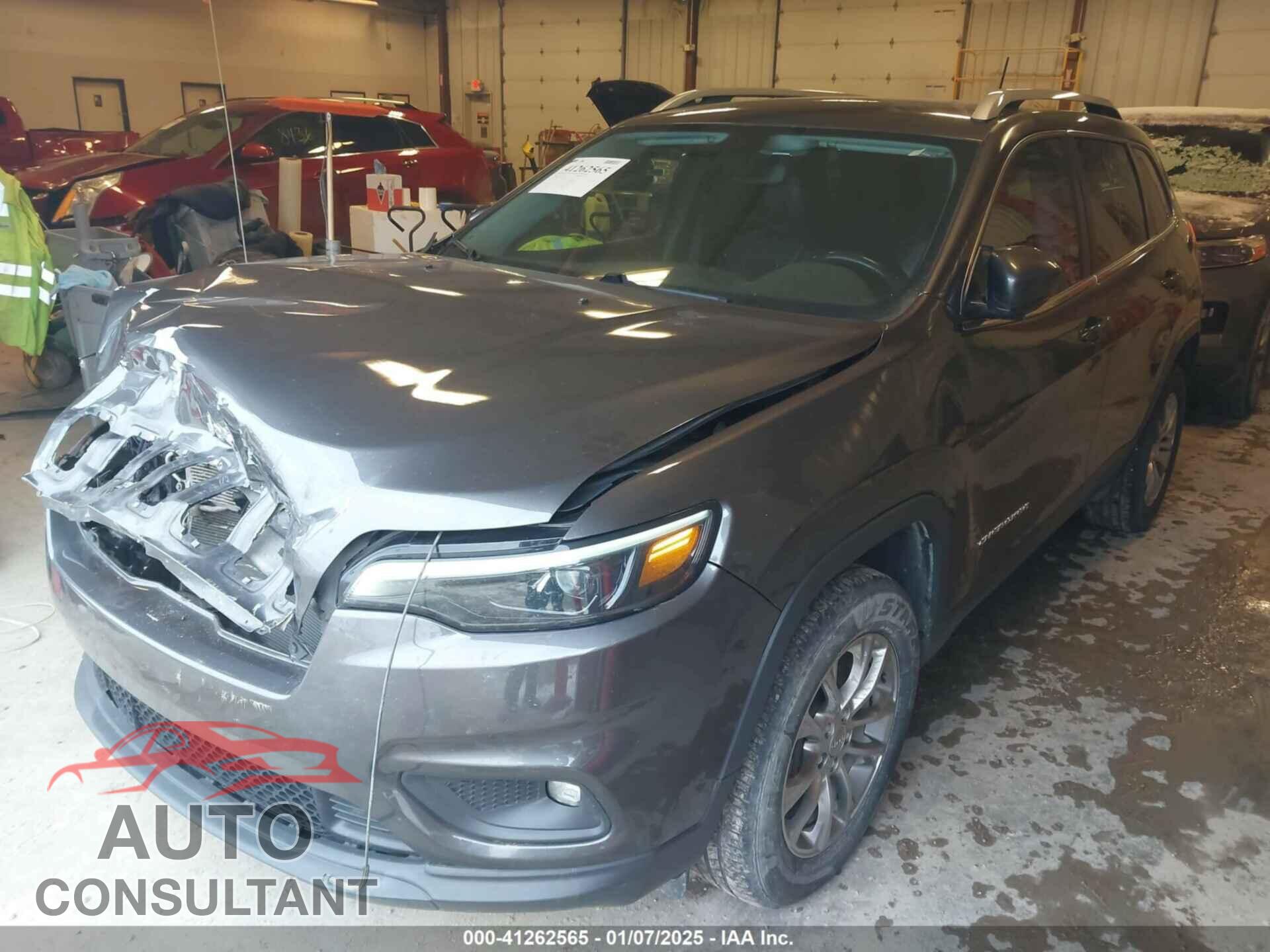 JEEP CHEROKEE 2019 - 1C4PJMLX2KD101757